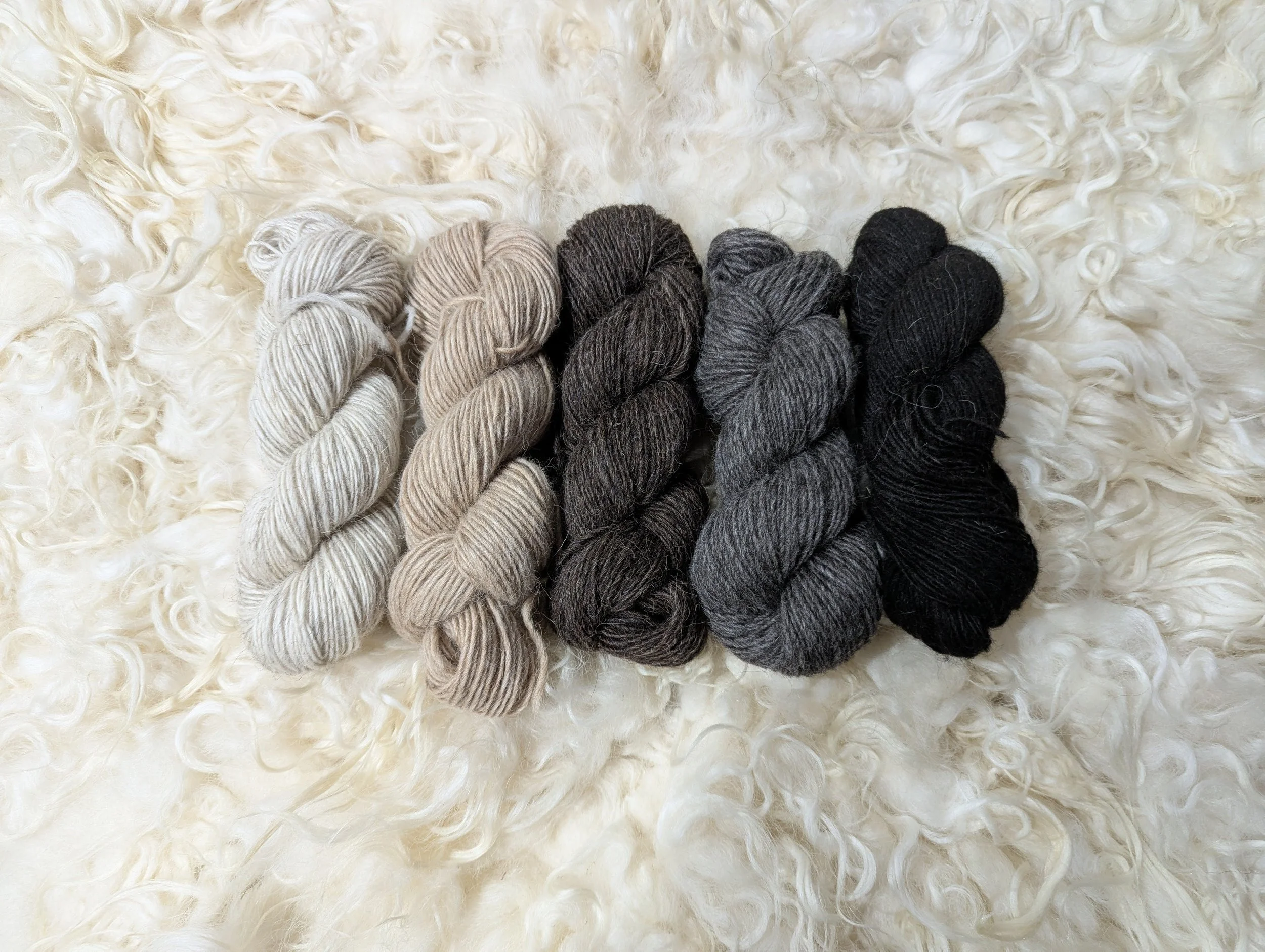 Harvest lambswool yarn.jpg
