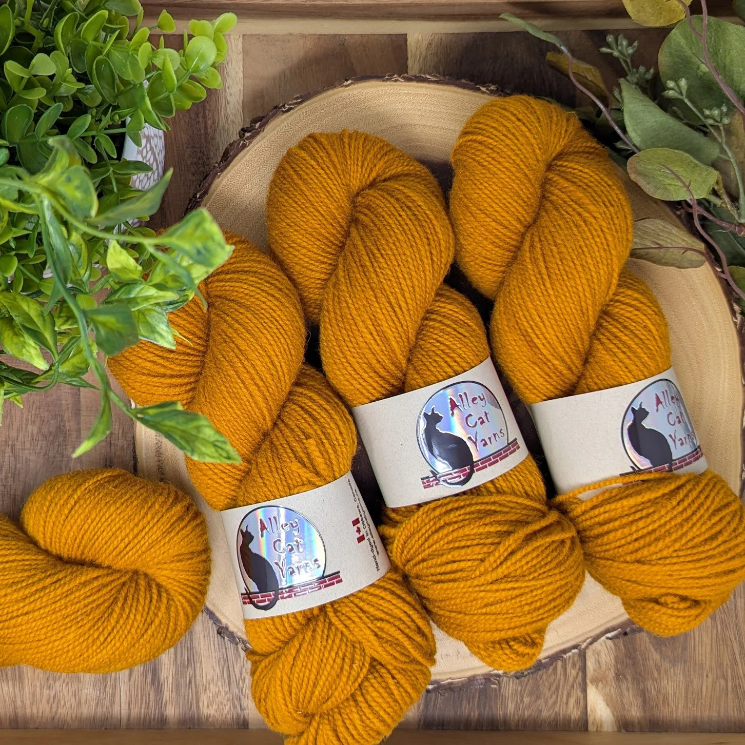 alleycatyarns_dorset.jpg
