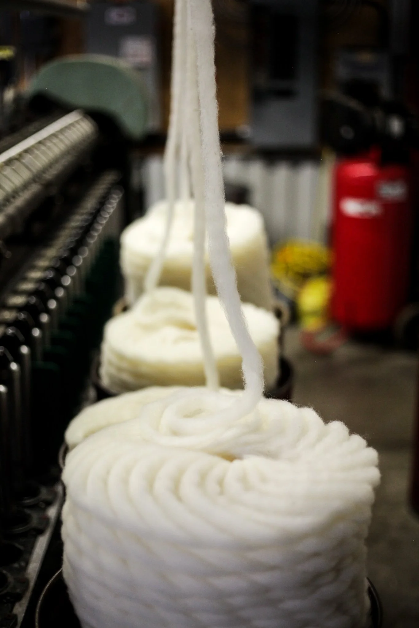 Team — Canadian Wool Collective