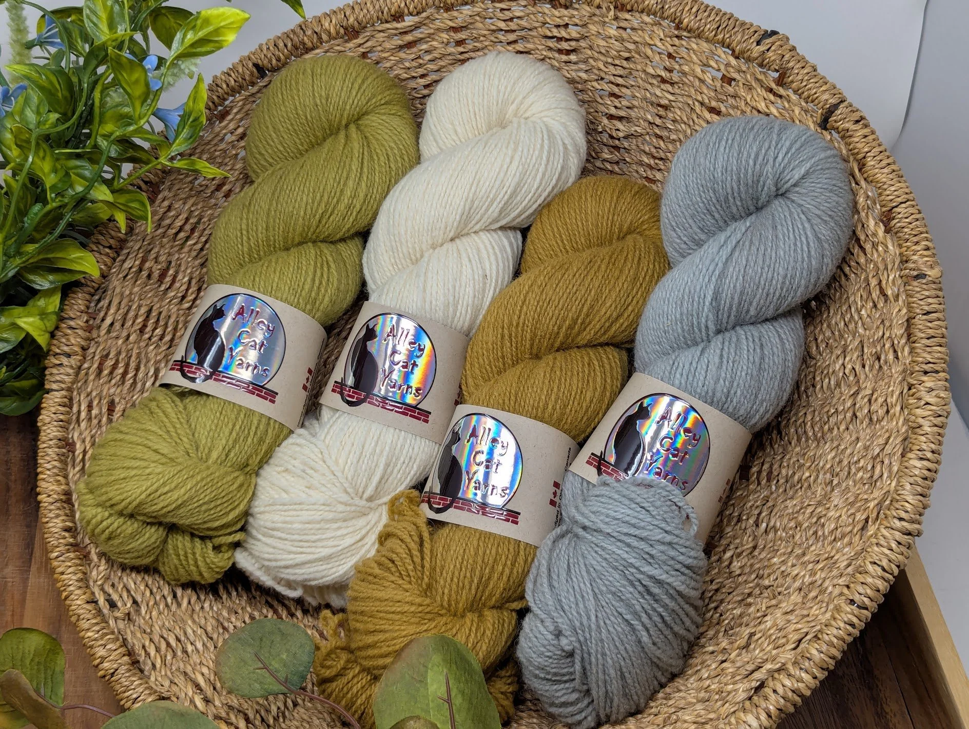 alleycatyarns_rambouillet.jpg
