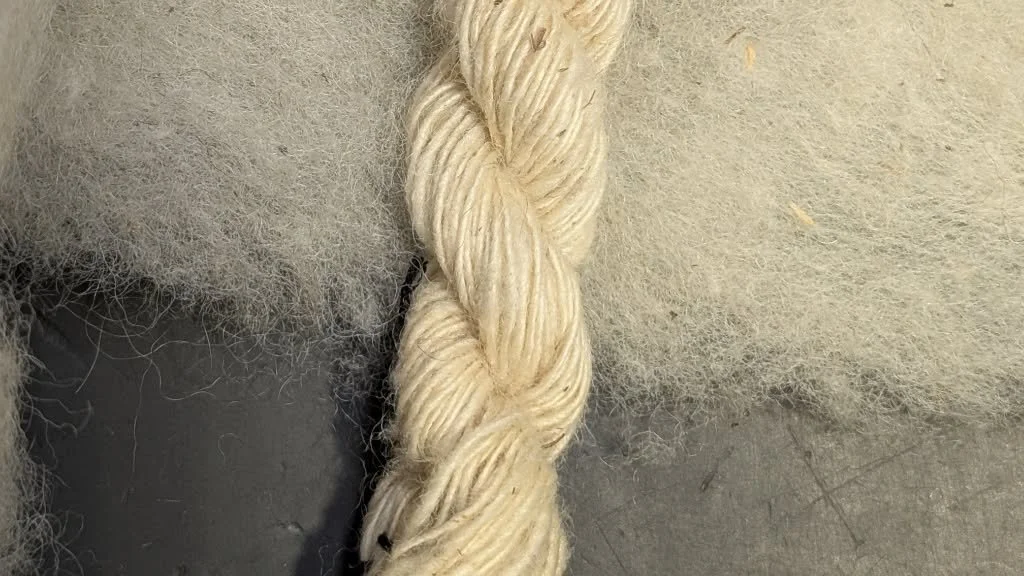 ecowool handspun.jpg