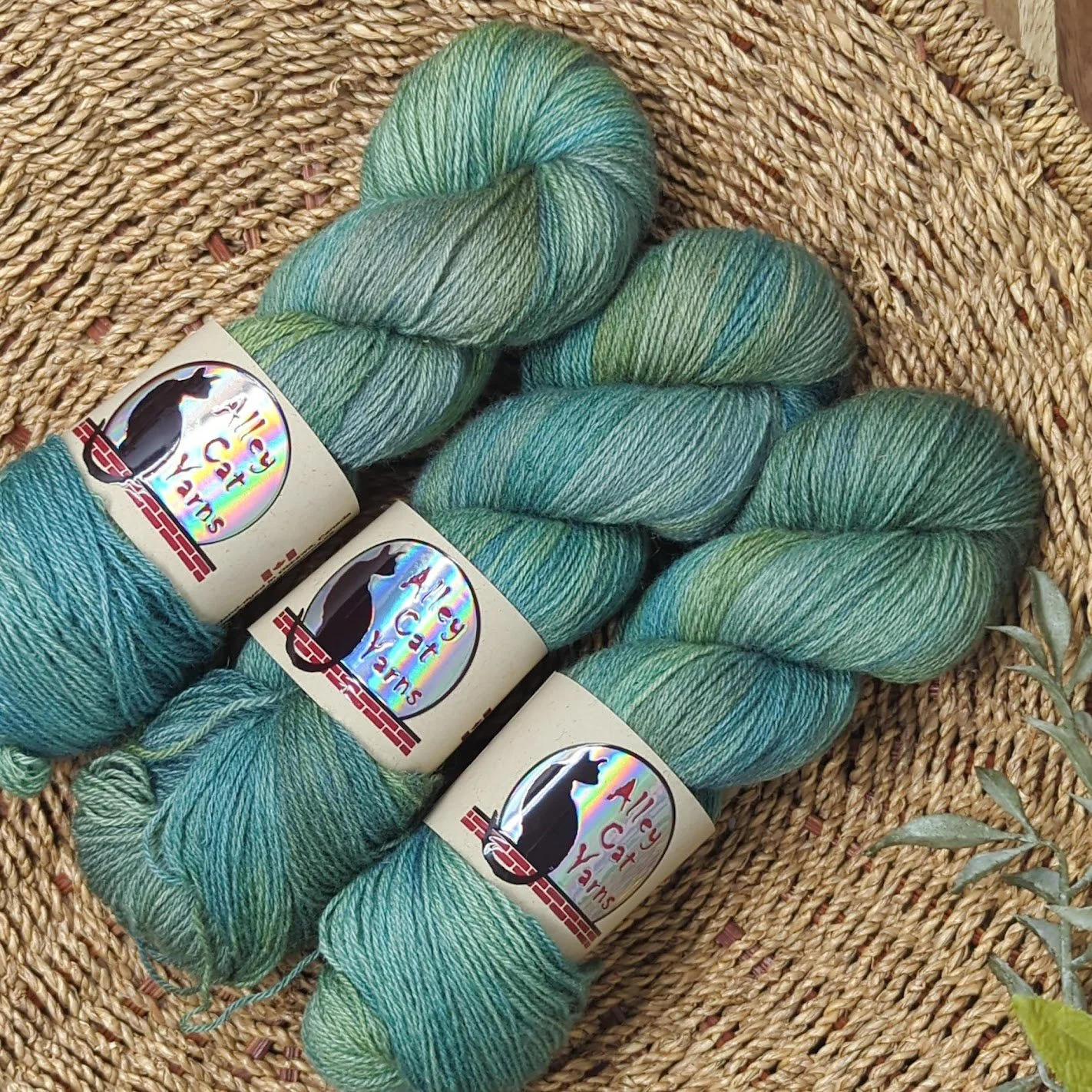 alleycatyarns_ontariosock4.jpg