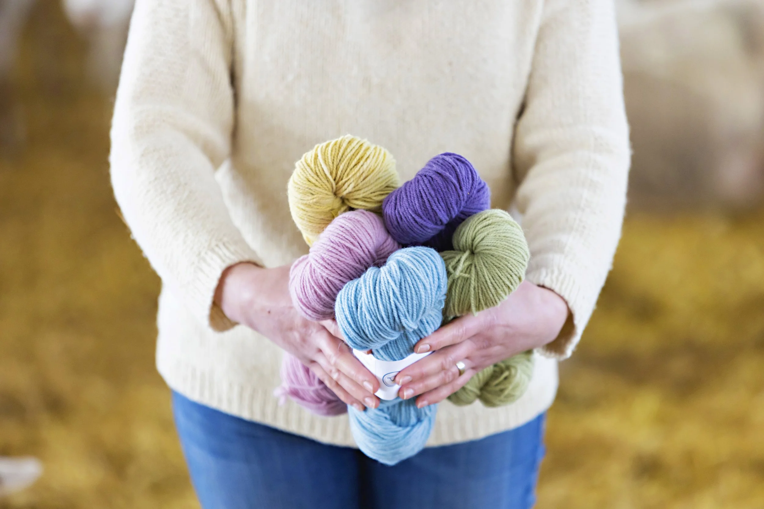 revolution+wool+co+yarn+dyed.jpg