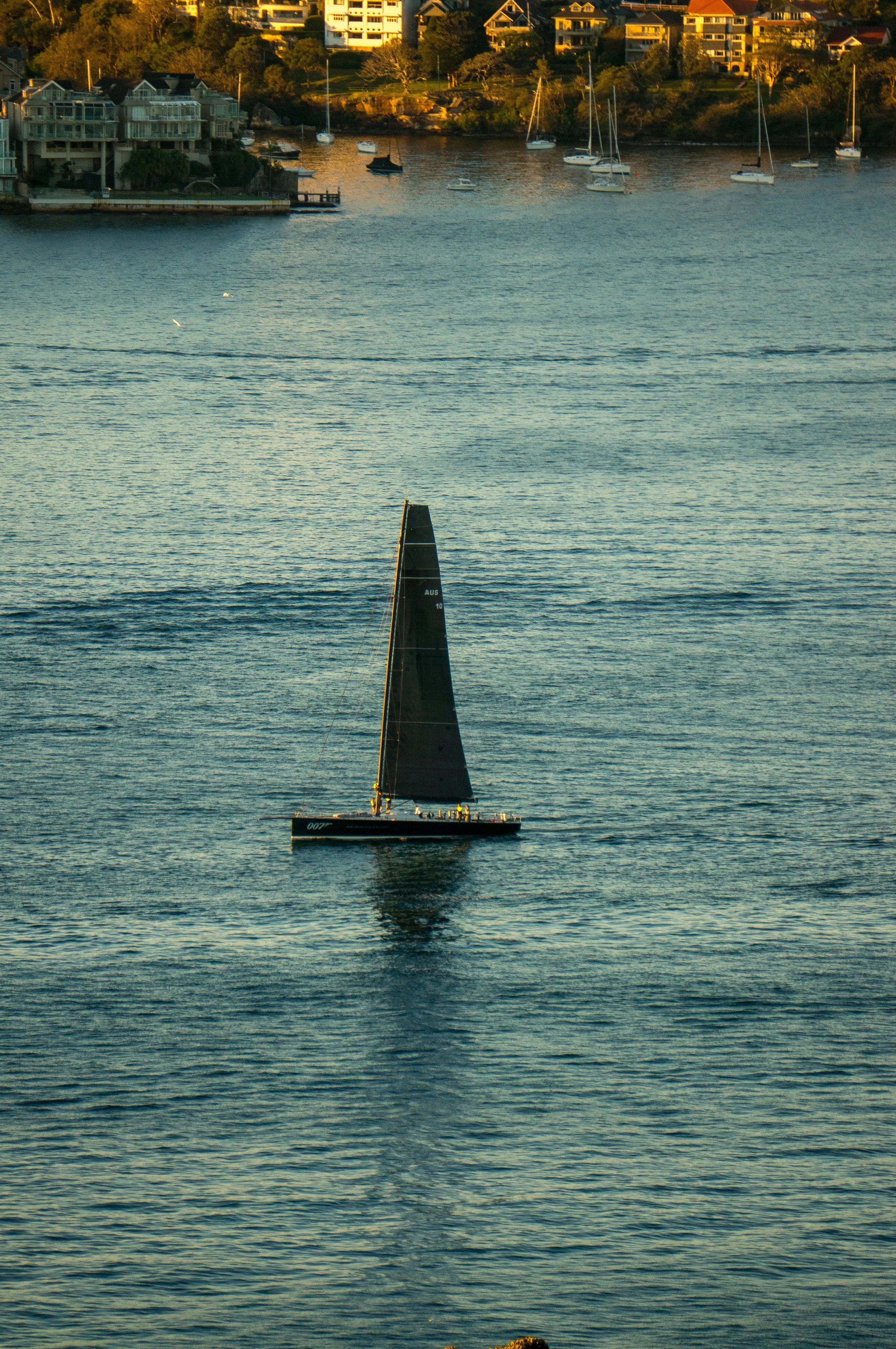 Sydney Harbor.