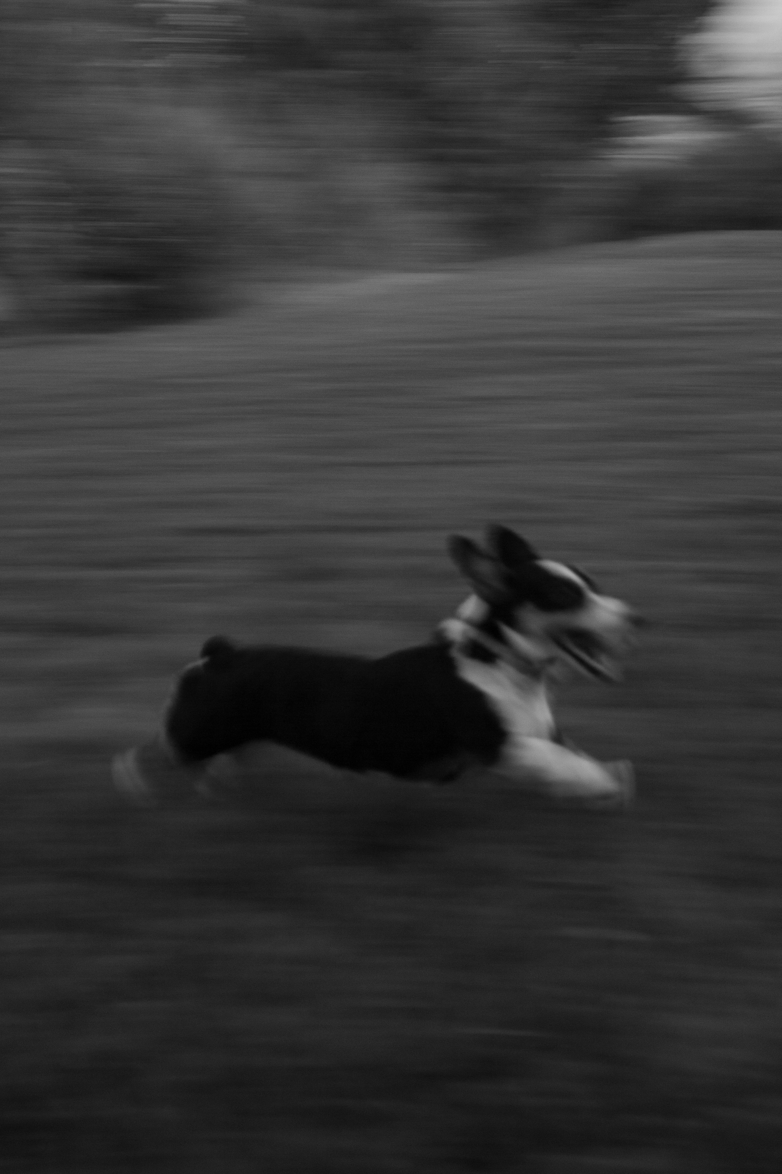 So fast.
