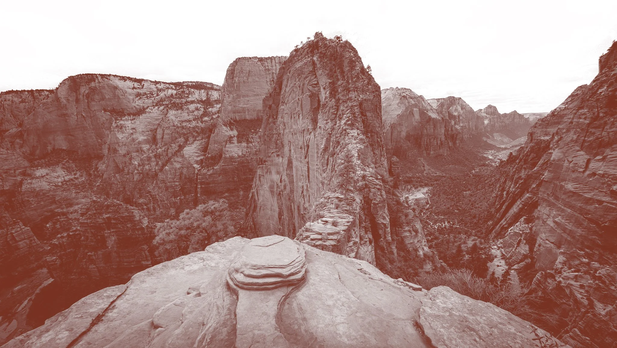 Zion Brochure Concept