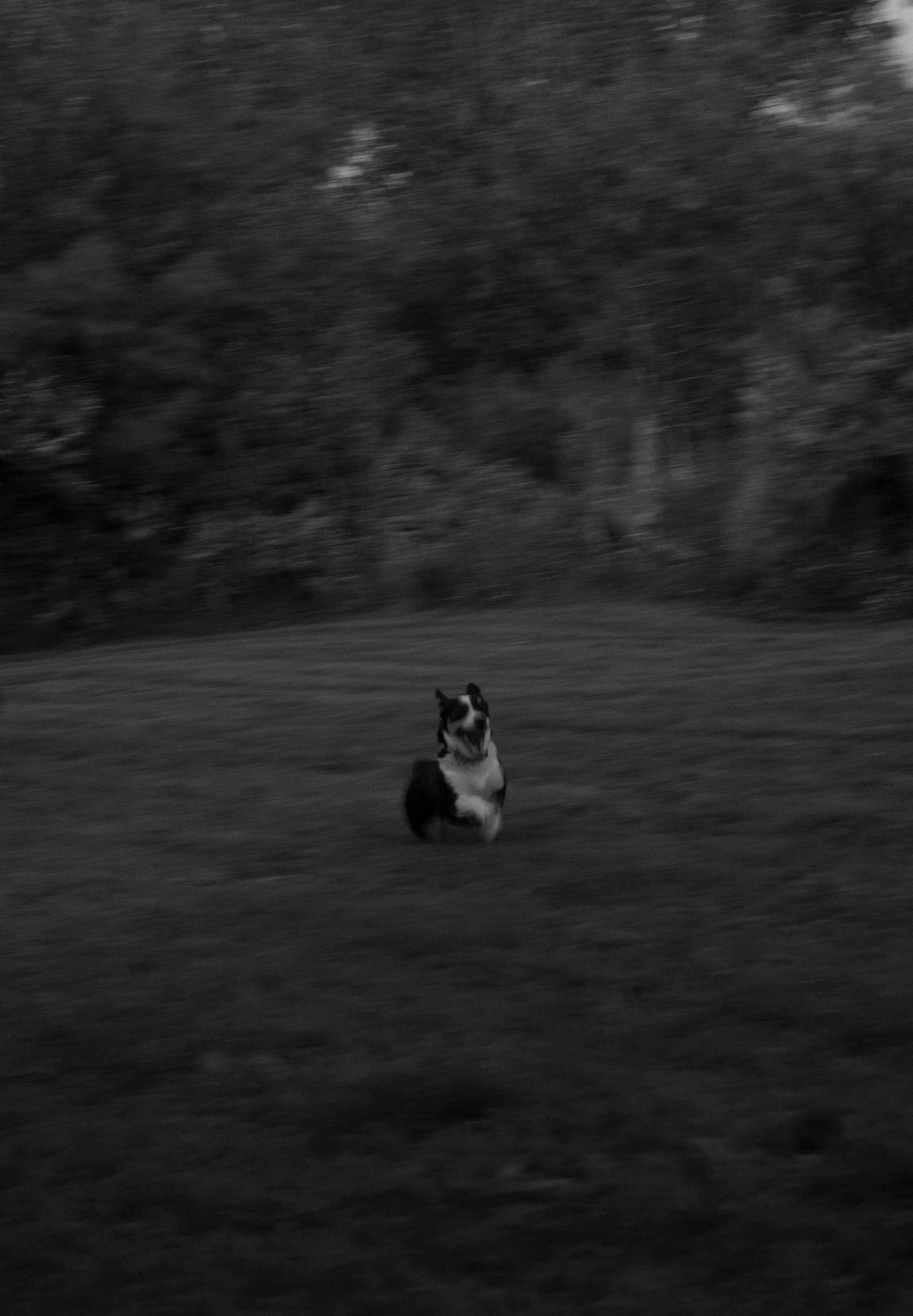 zooooom.