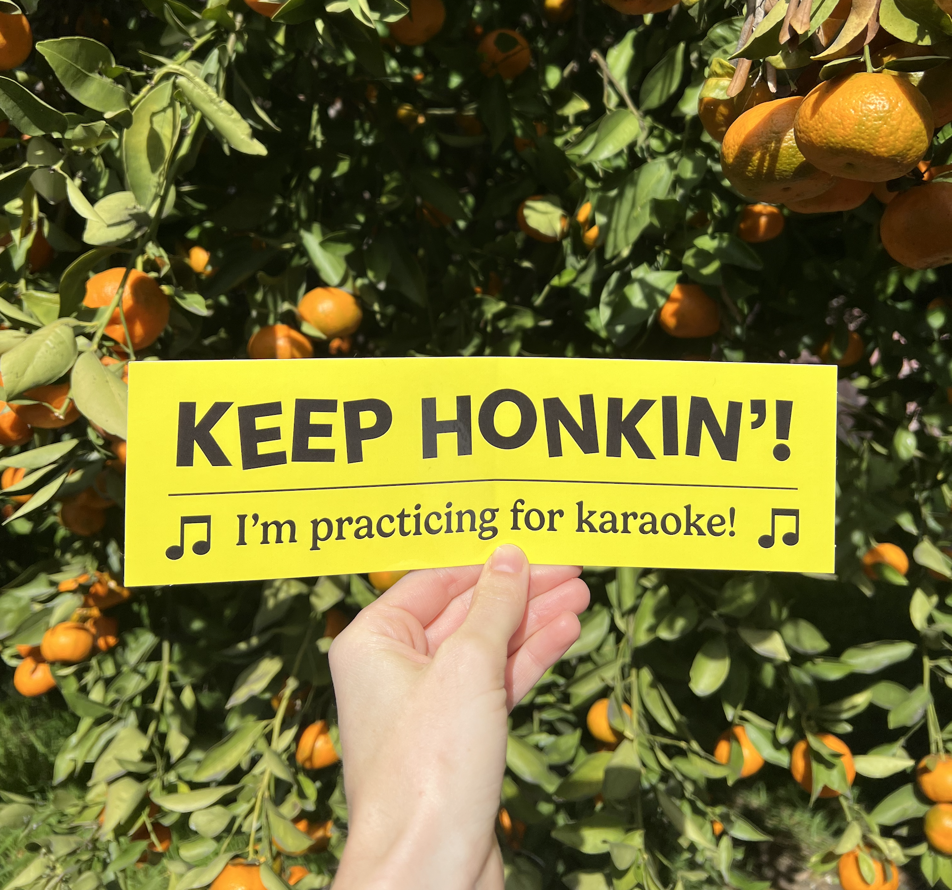 KARAOKE Bumper Sticker