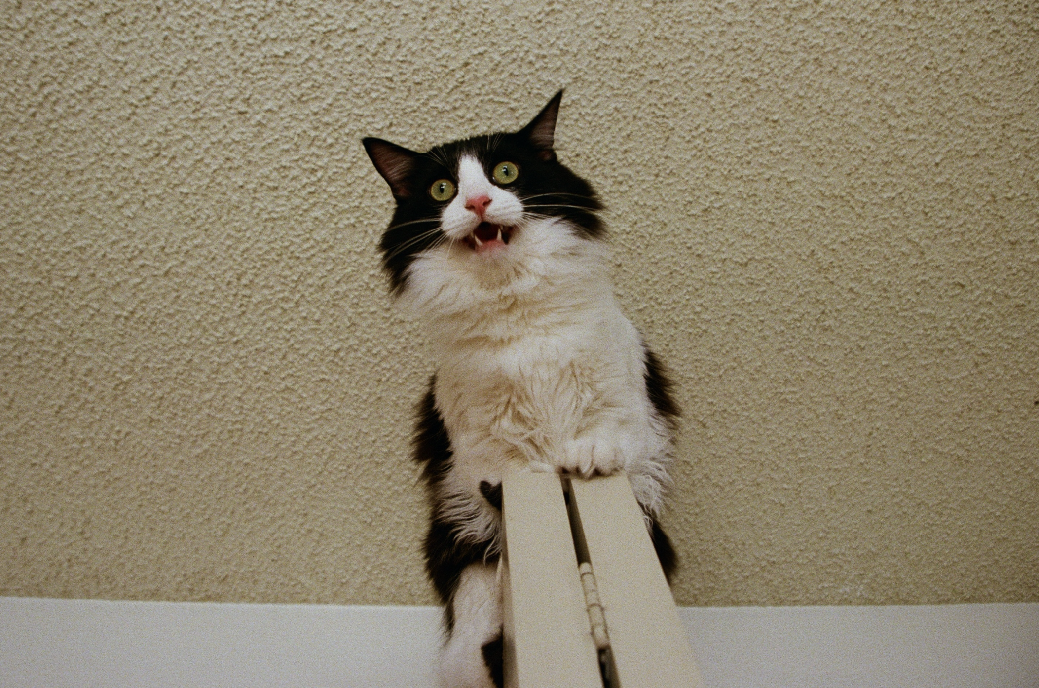 Screenshot 2025-12-23 at 12.17.01 PM.png