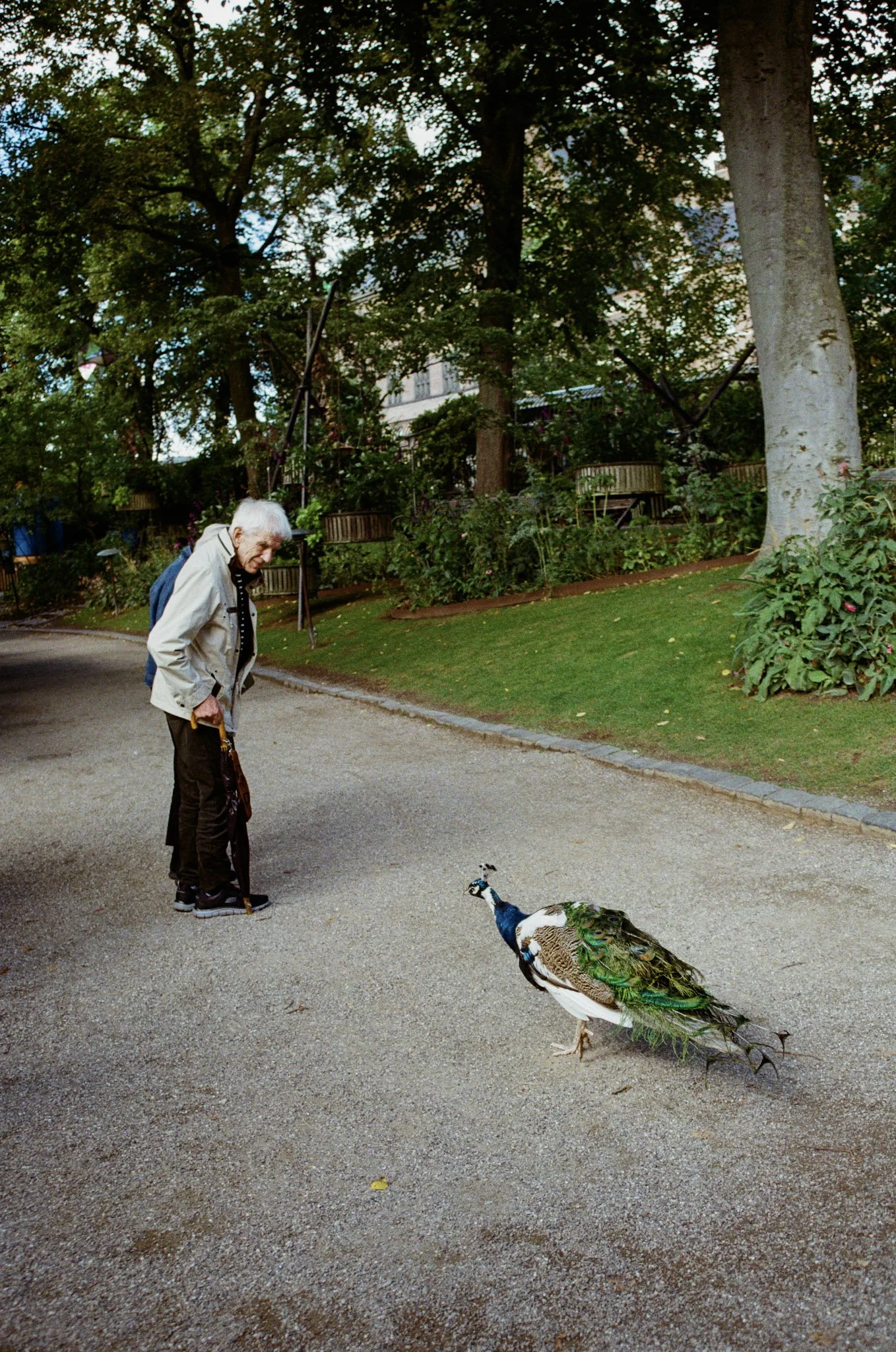 000122890027 (1).jpg