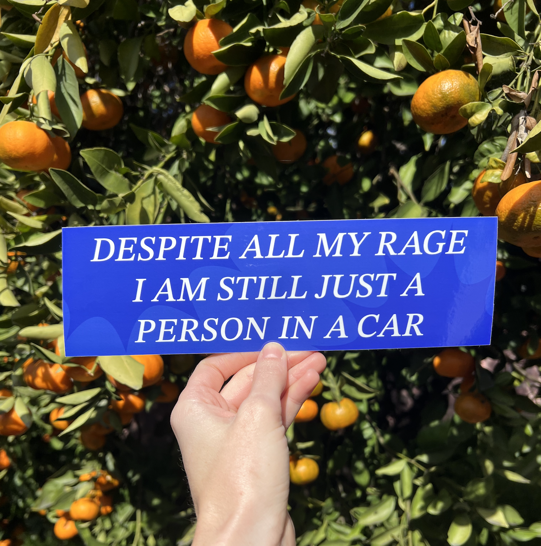 RAGE Bumper Sticker