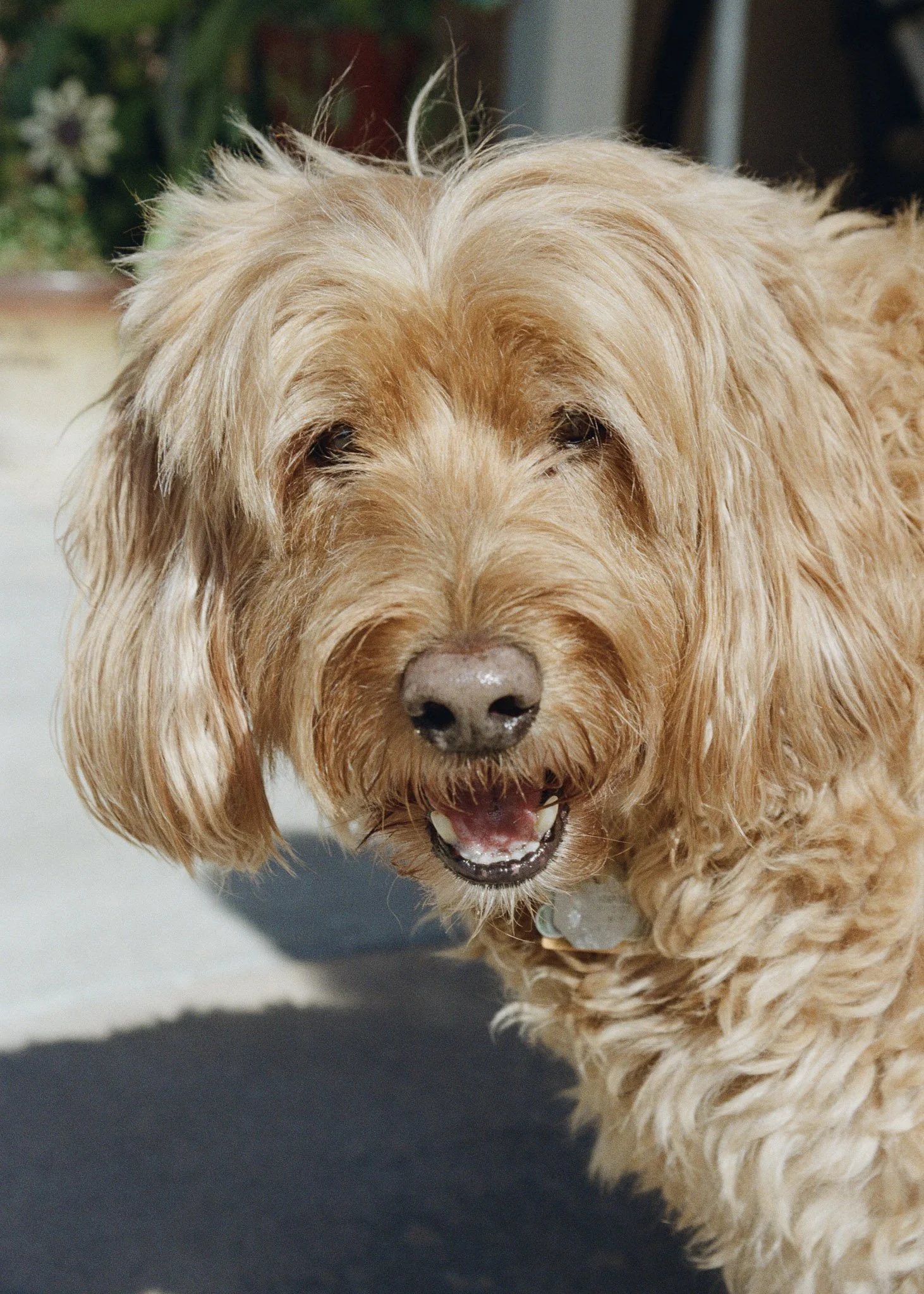 hailey_ruffner_ollie_2026.jpg