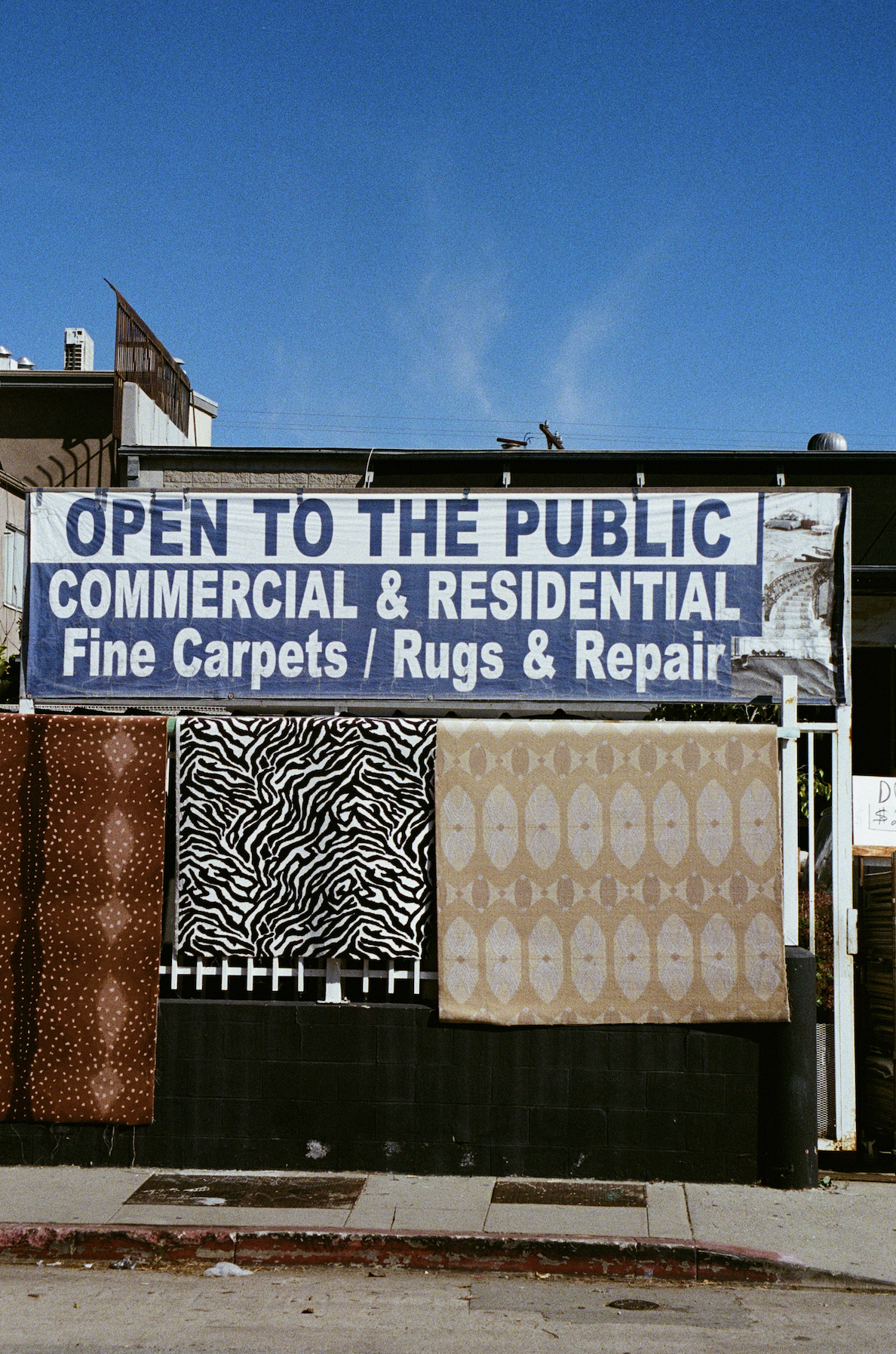 zebra_rug_film_Hailey Ruffner.png