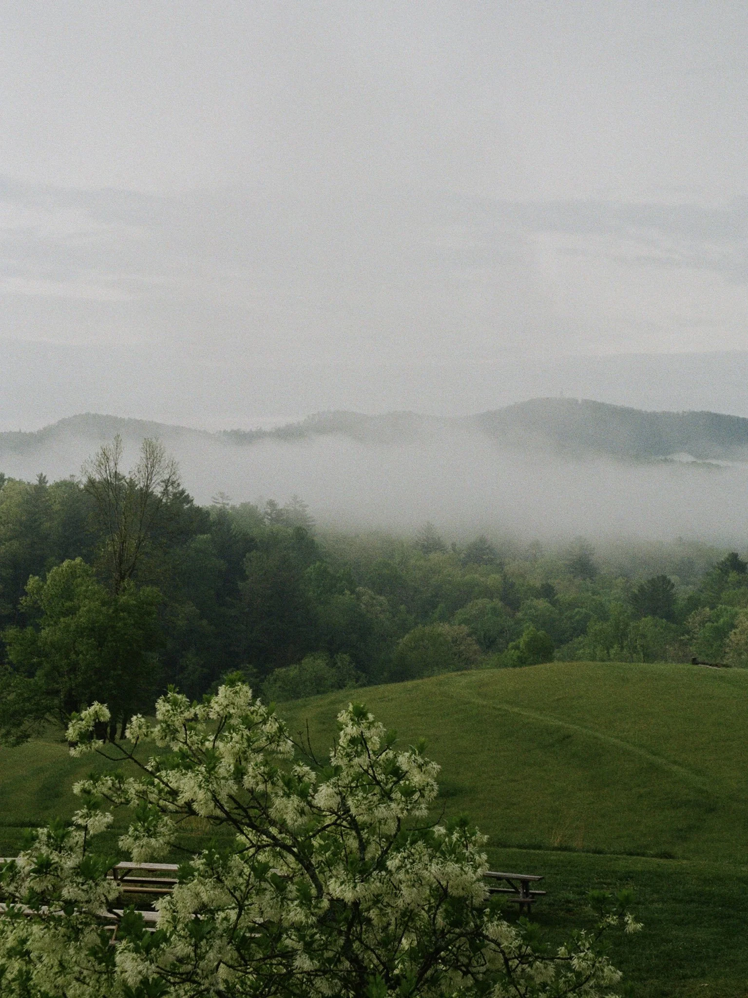 hailey_ruffner_film_penland_fog.jpg