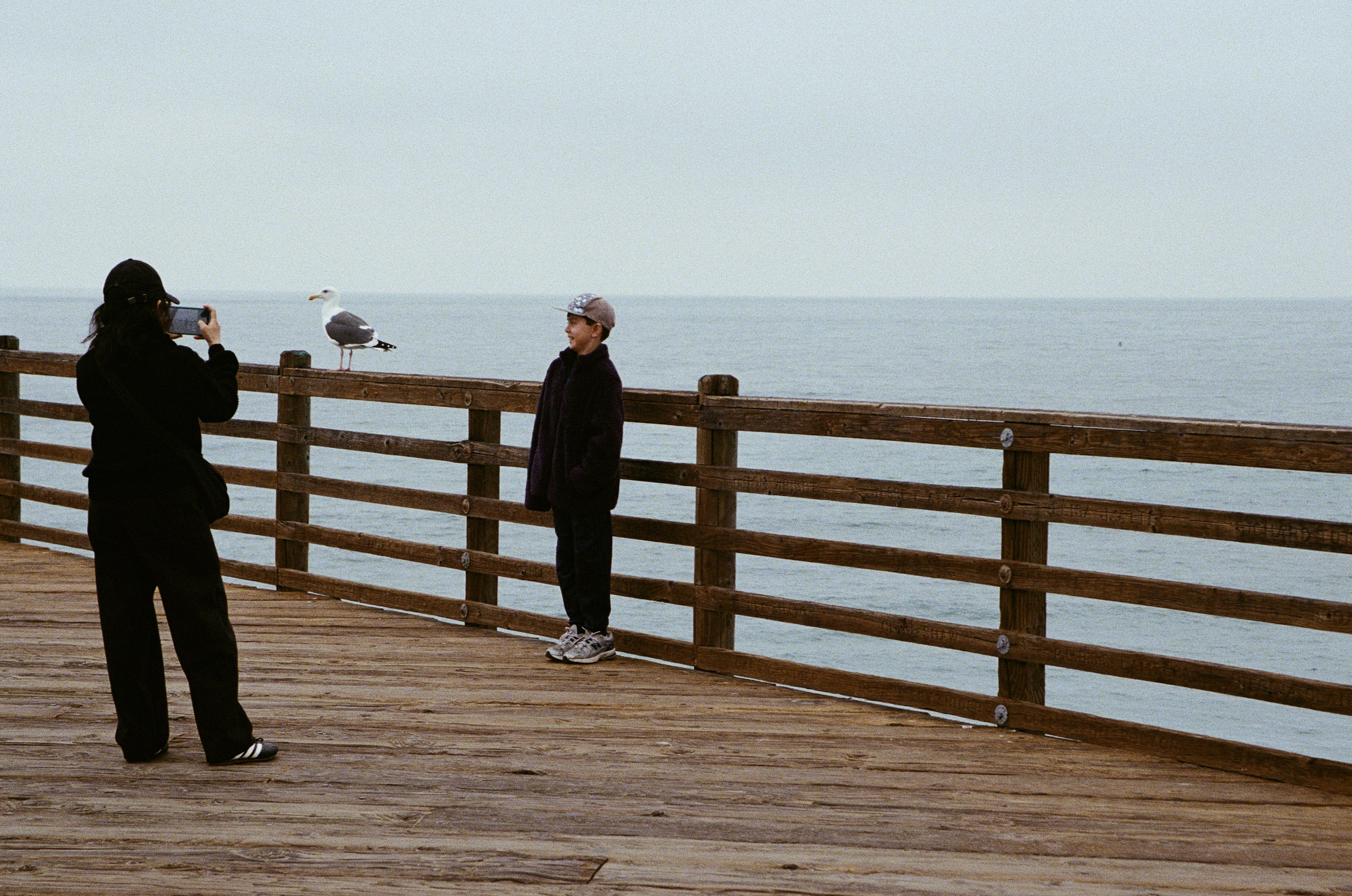 kid_bird_film_Hailey Ruffner.png