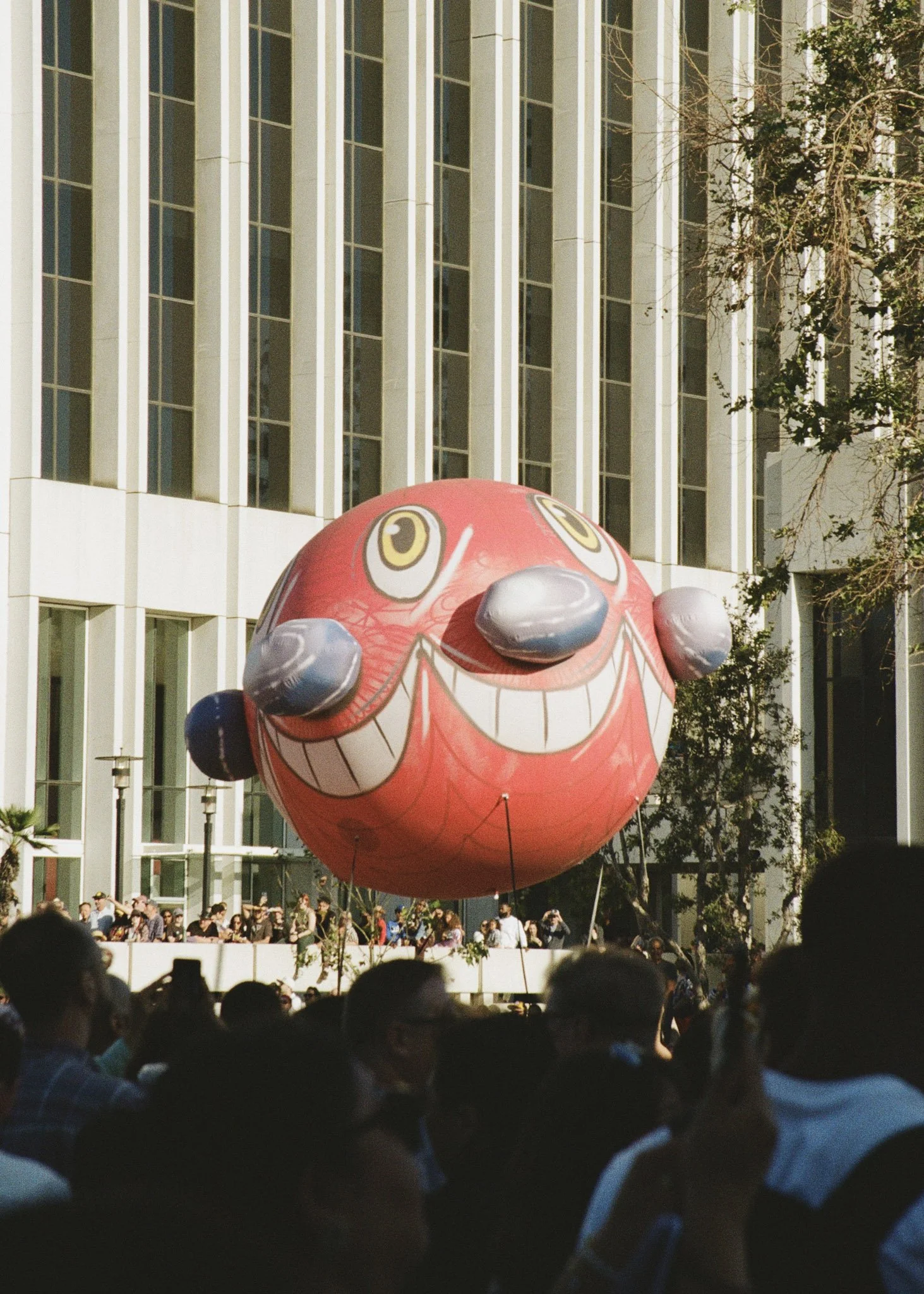 hailey_ruffner_film_lacma_2026_3.jpg