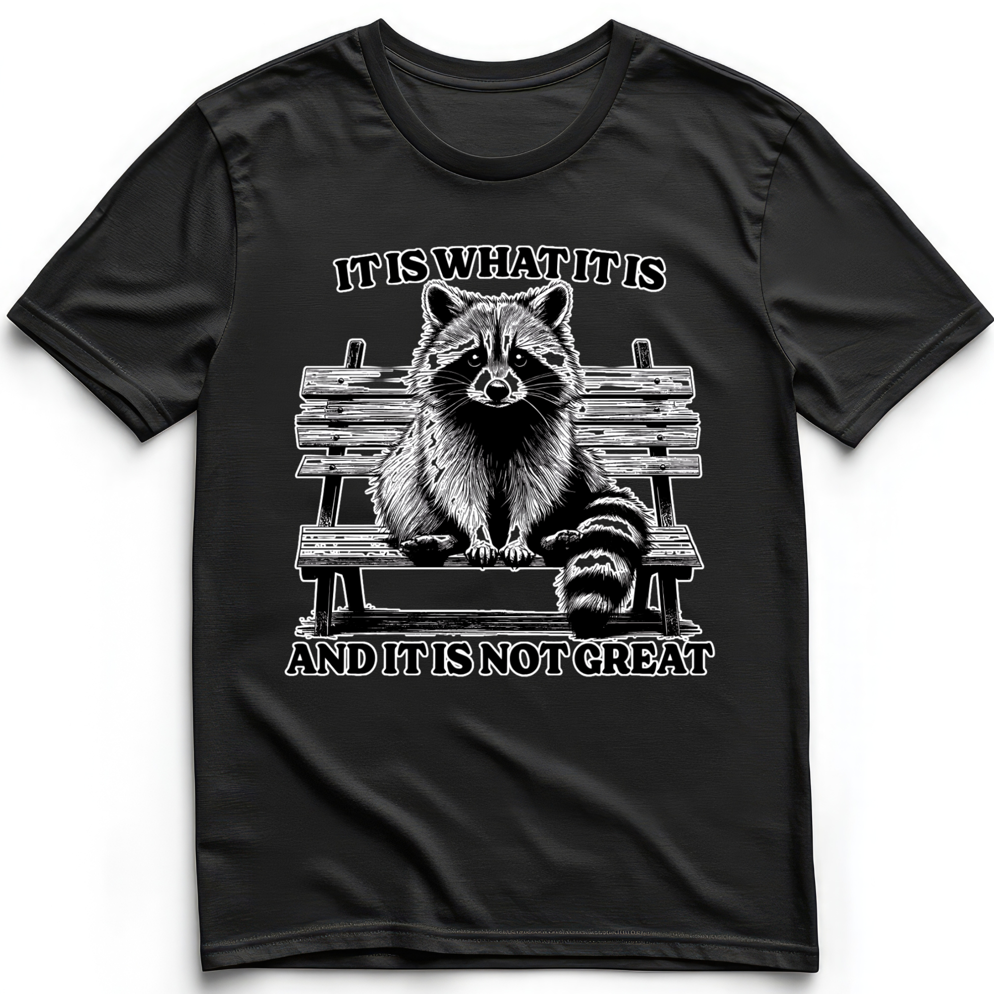 It Is What It Is Racoon T-Shirt