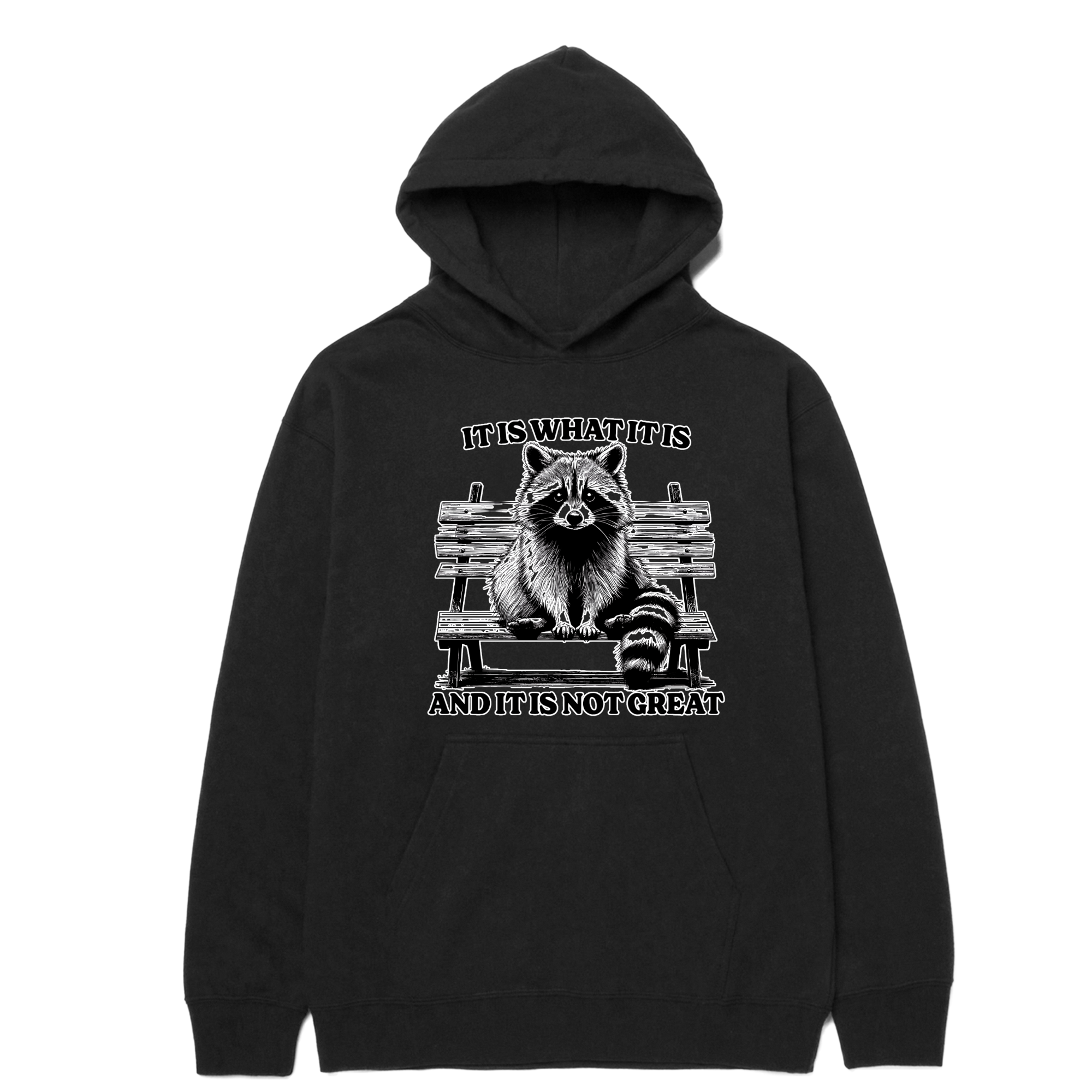 It Is What It Is Racoon Hoodie