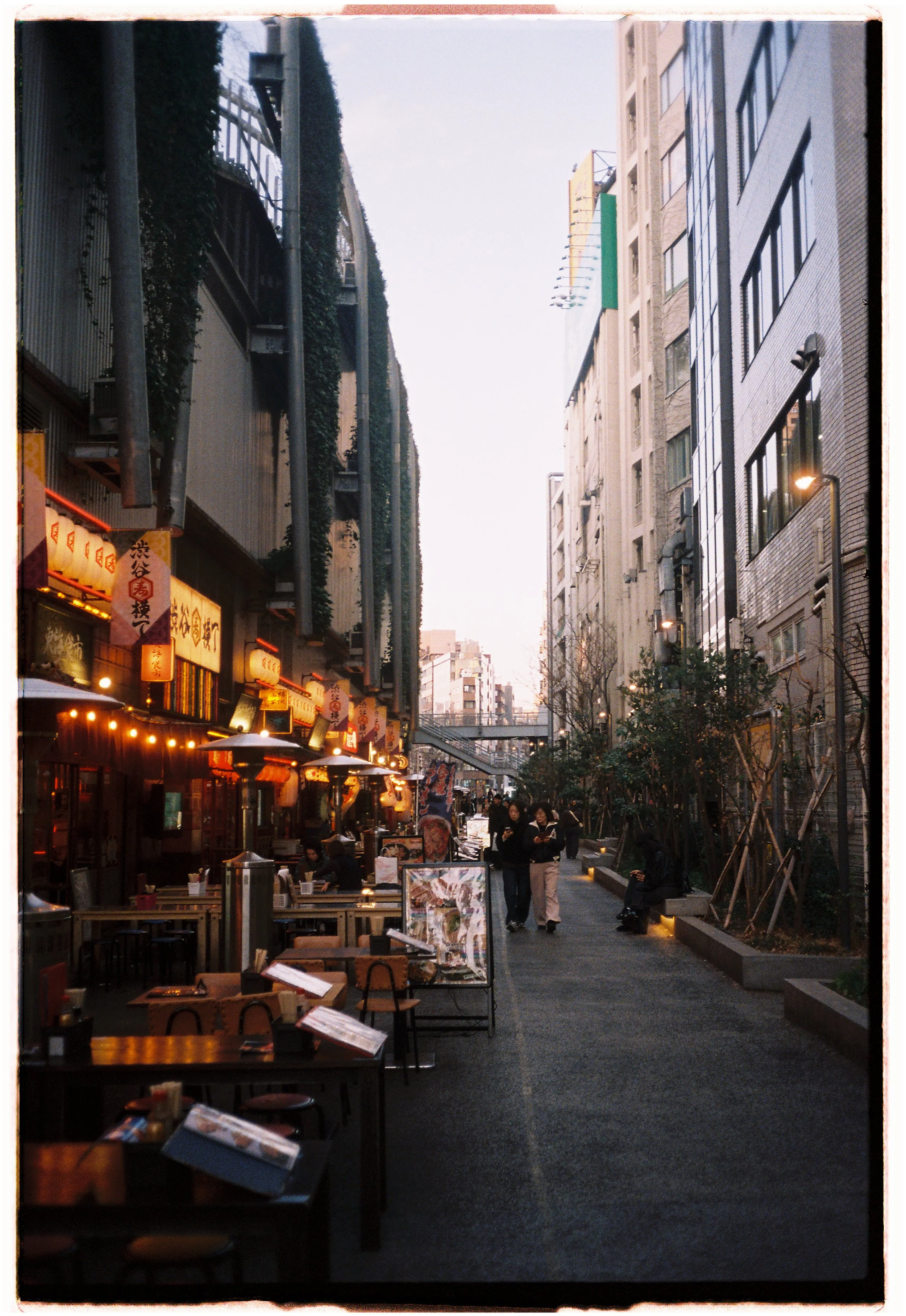 CT_7108_Portra 800_751539-R1-028-12A.jpg