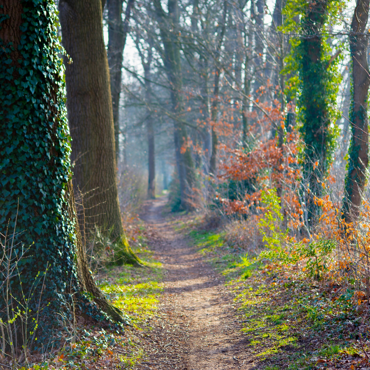 You Are Standing at a Threshold