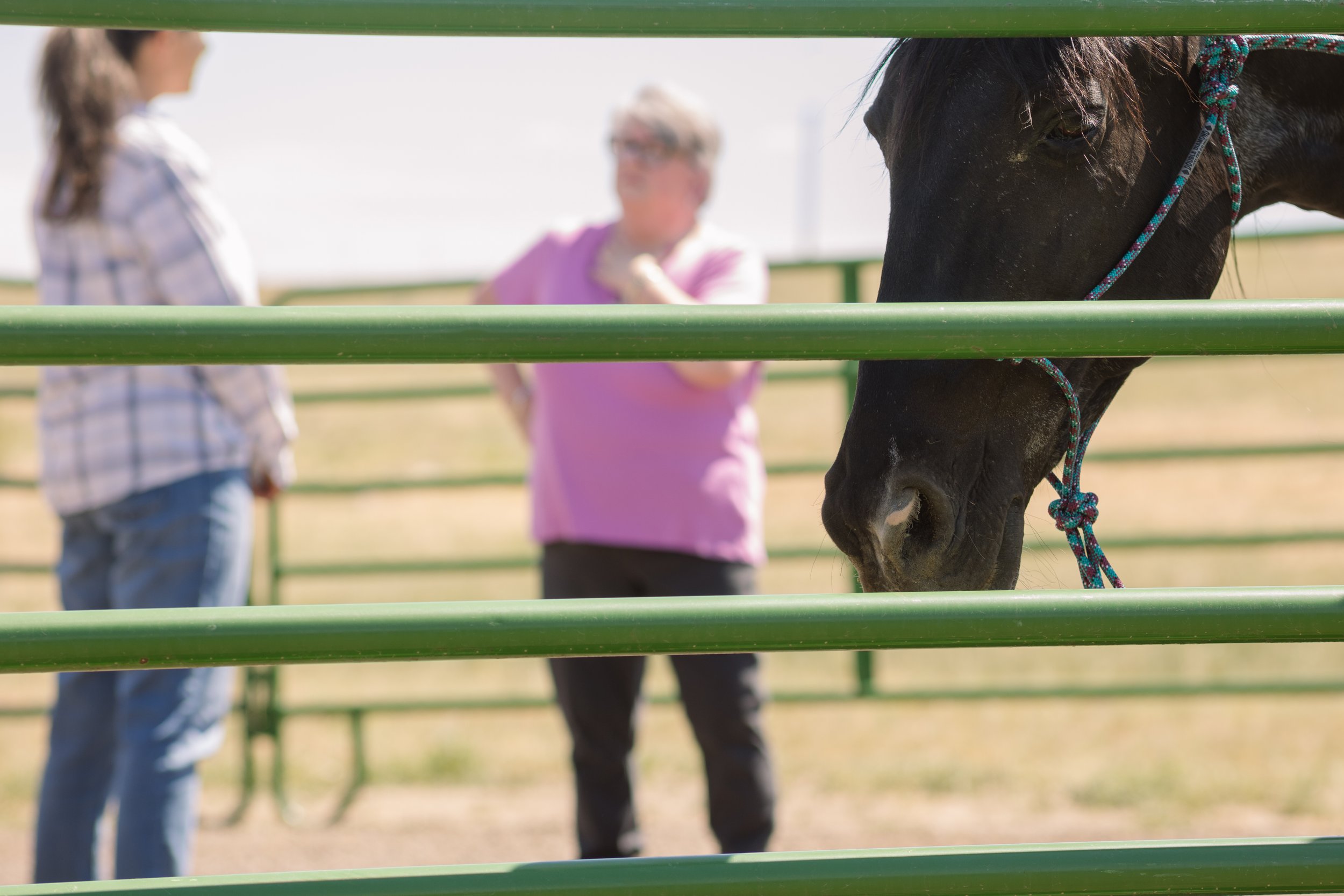 Horse in foreground with woman in pink coaching woman in white shirt