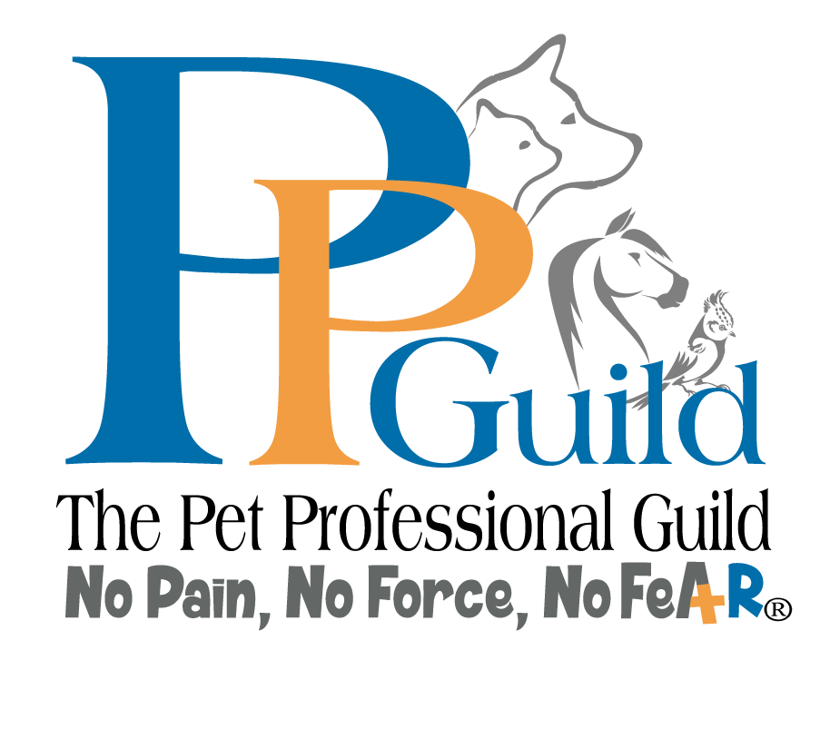 Logo of "PPGuild" in blue and orange text, with the tagline "No Pain, No Force, No Fear" underneath.