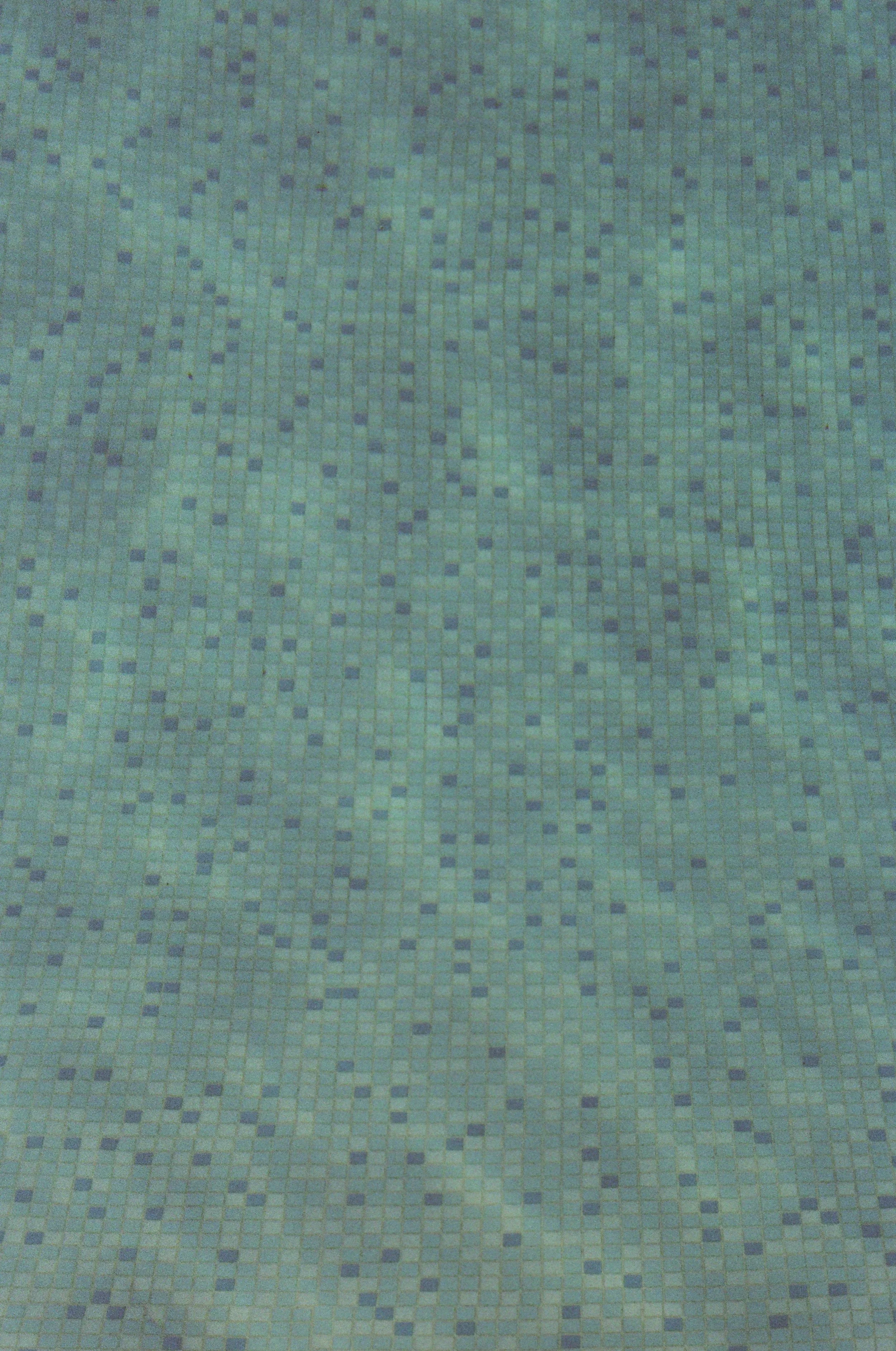 000095460020.jpg