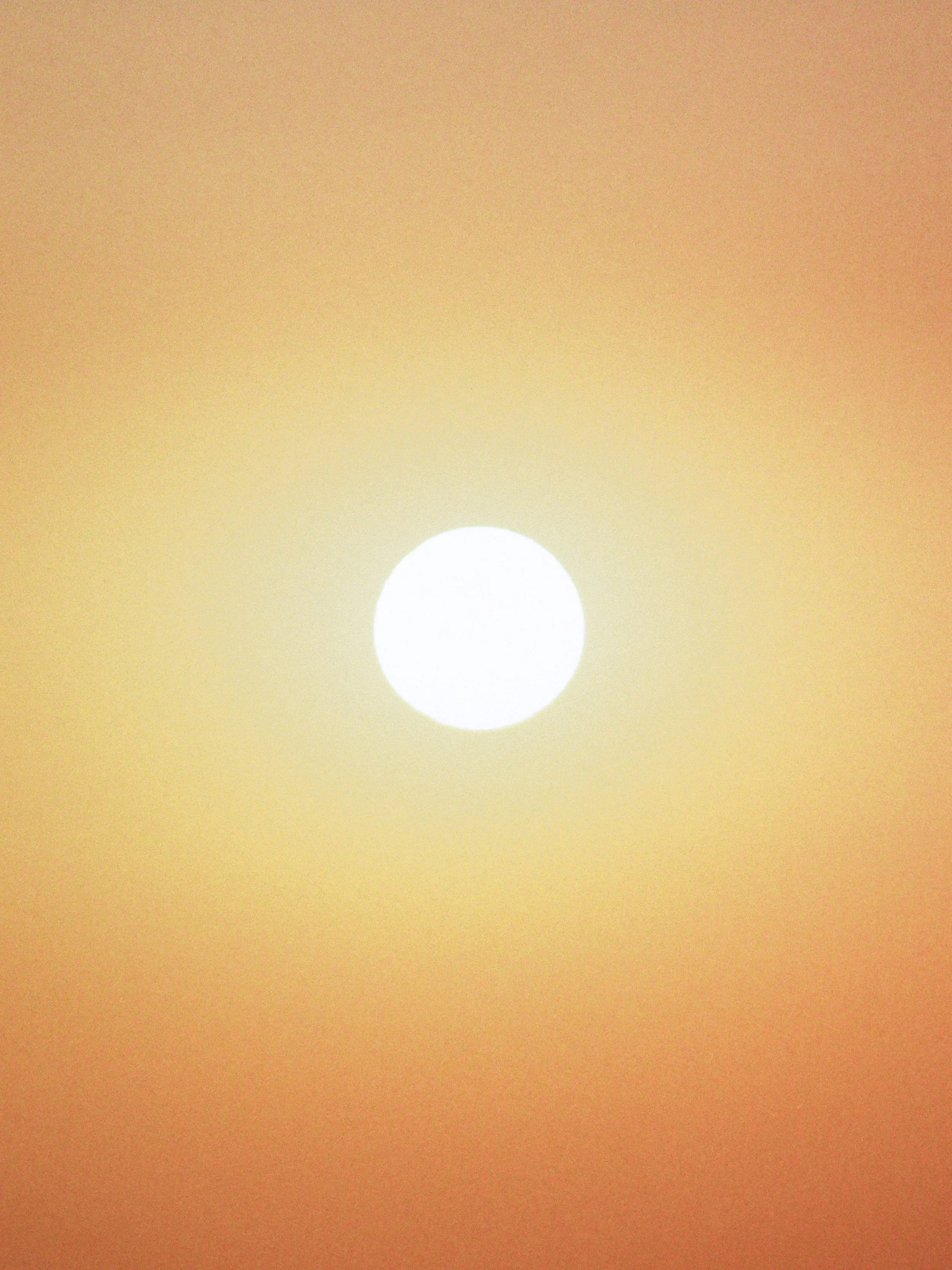 000095140021.jpg