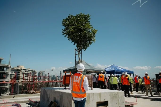 MARGAUX ~ Celebrating a major milestone, crowned by a tree and rewarded with a spectacular city view!

@createdbyclutch @ultrabuildingco