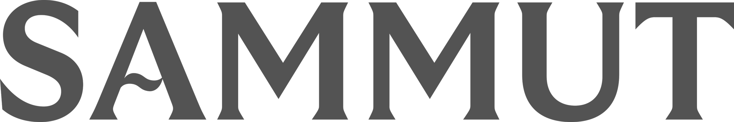 Text logo that reads 'SAMMUIT' in large, dark gray letters on a black background.