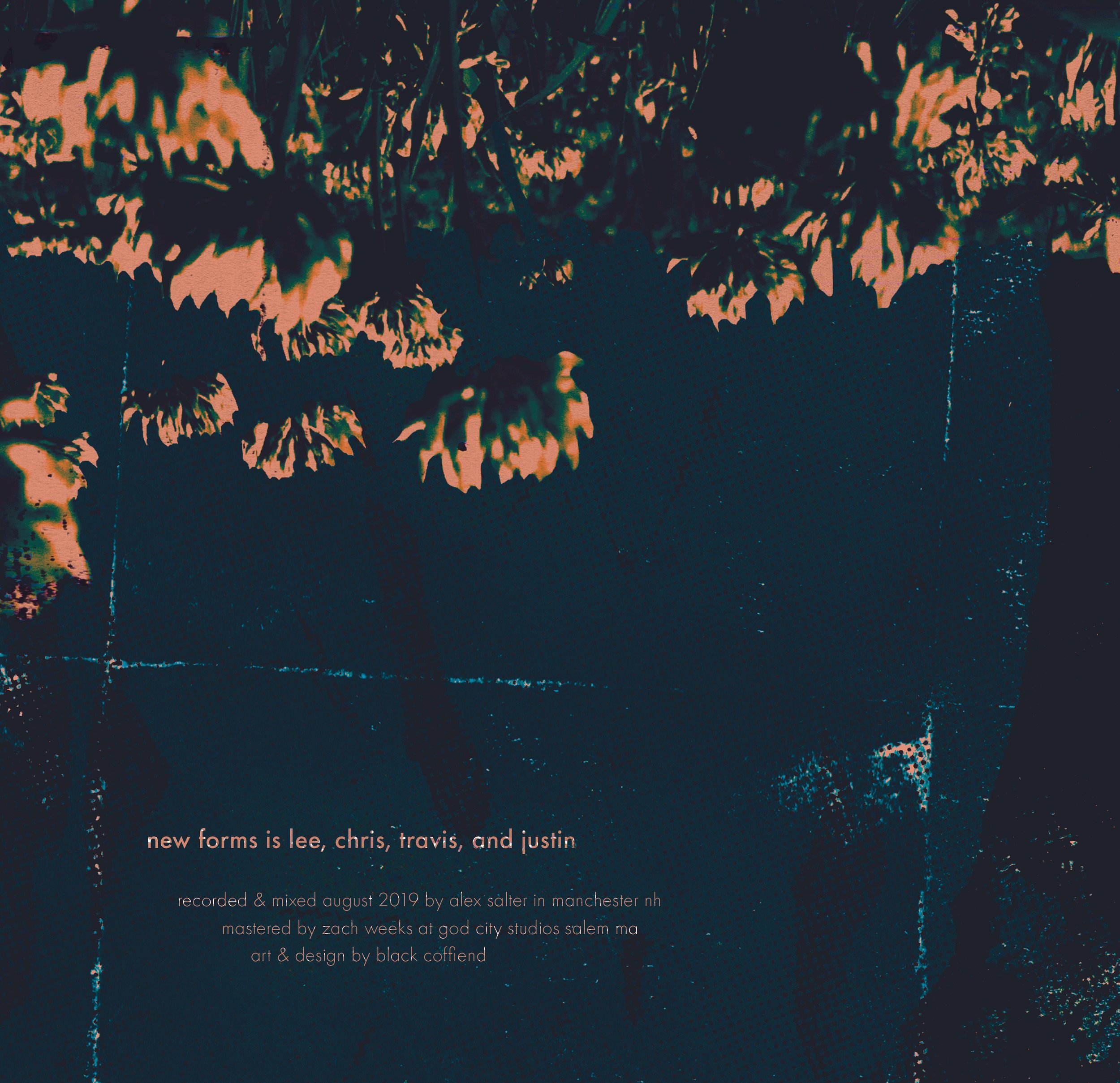 I DON'T WANT TO LIVE MY LIFE AGAIN INSERT