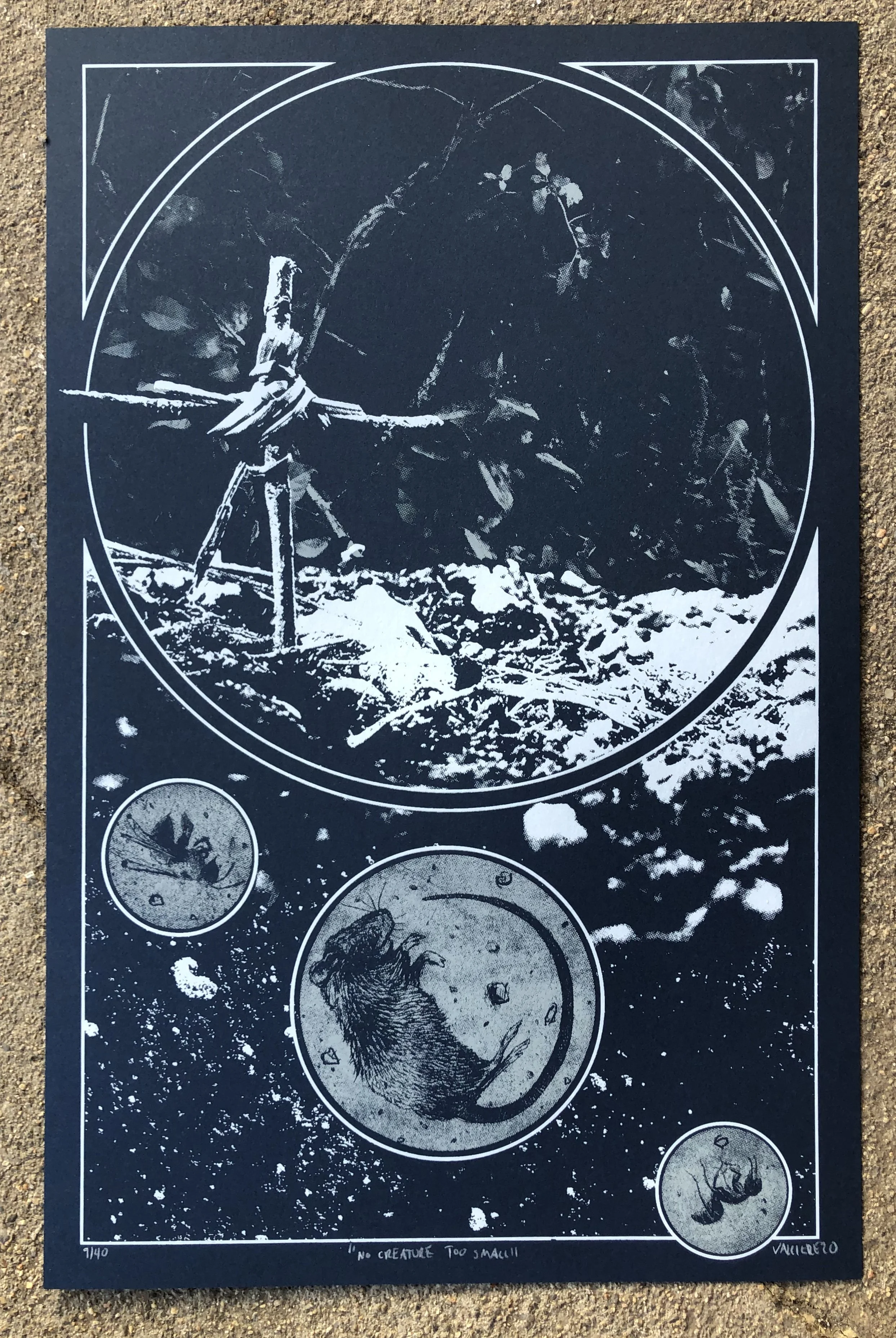 NO CREATURE TOO SMALL