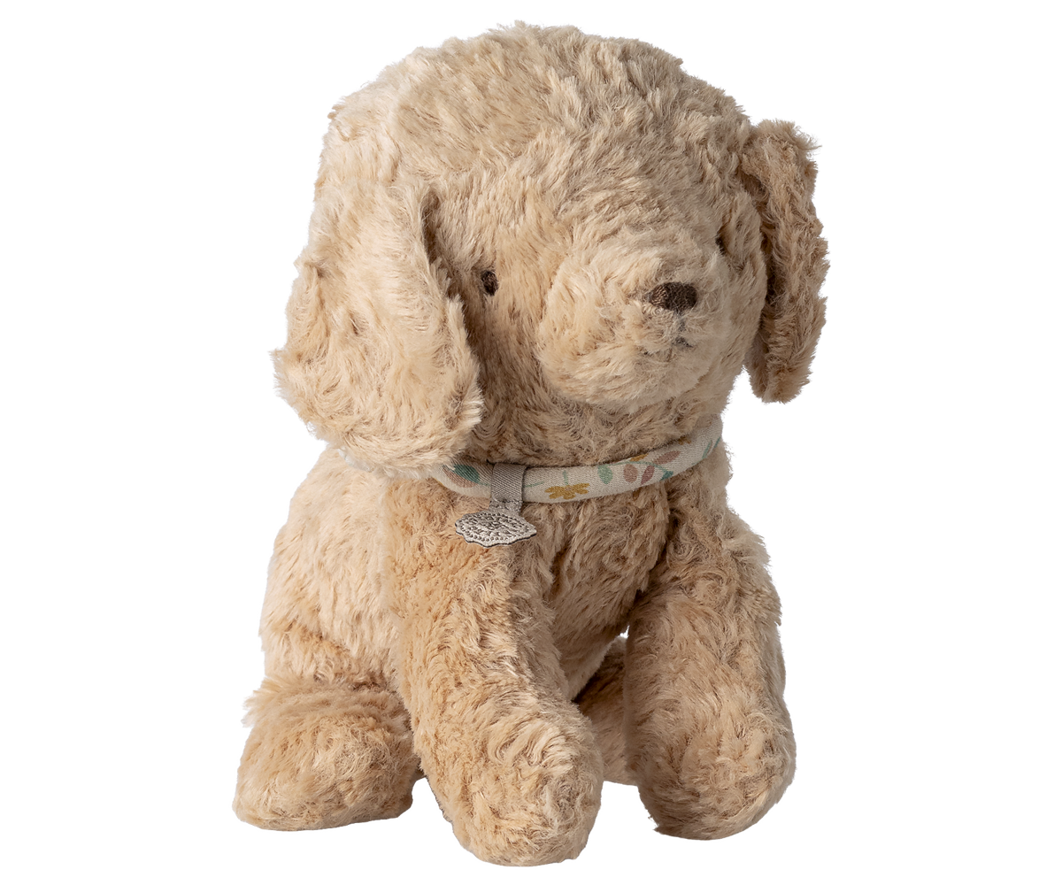 16-6911-00.png (Copy) (Copy) (Copy) (Copy) (Copy)