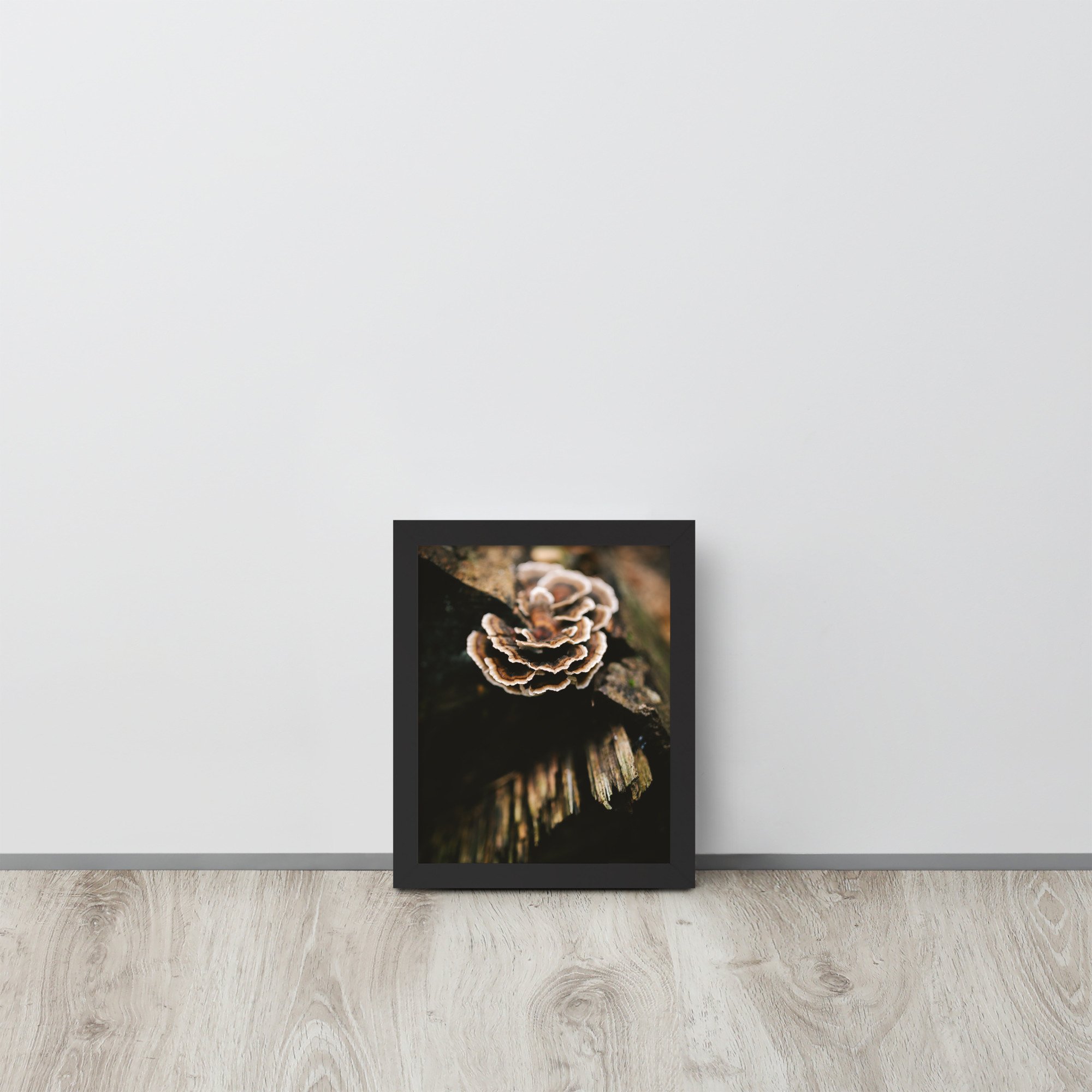 premium-luster-photo-paper-framed-poster-(in)-black-8x10-front-67980beeebad0.jpg
