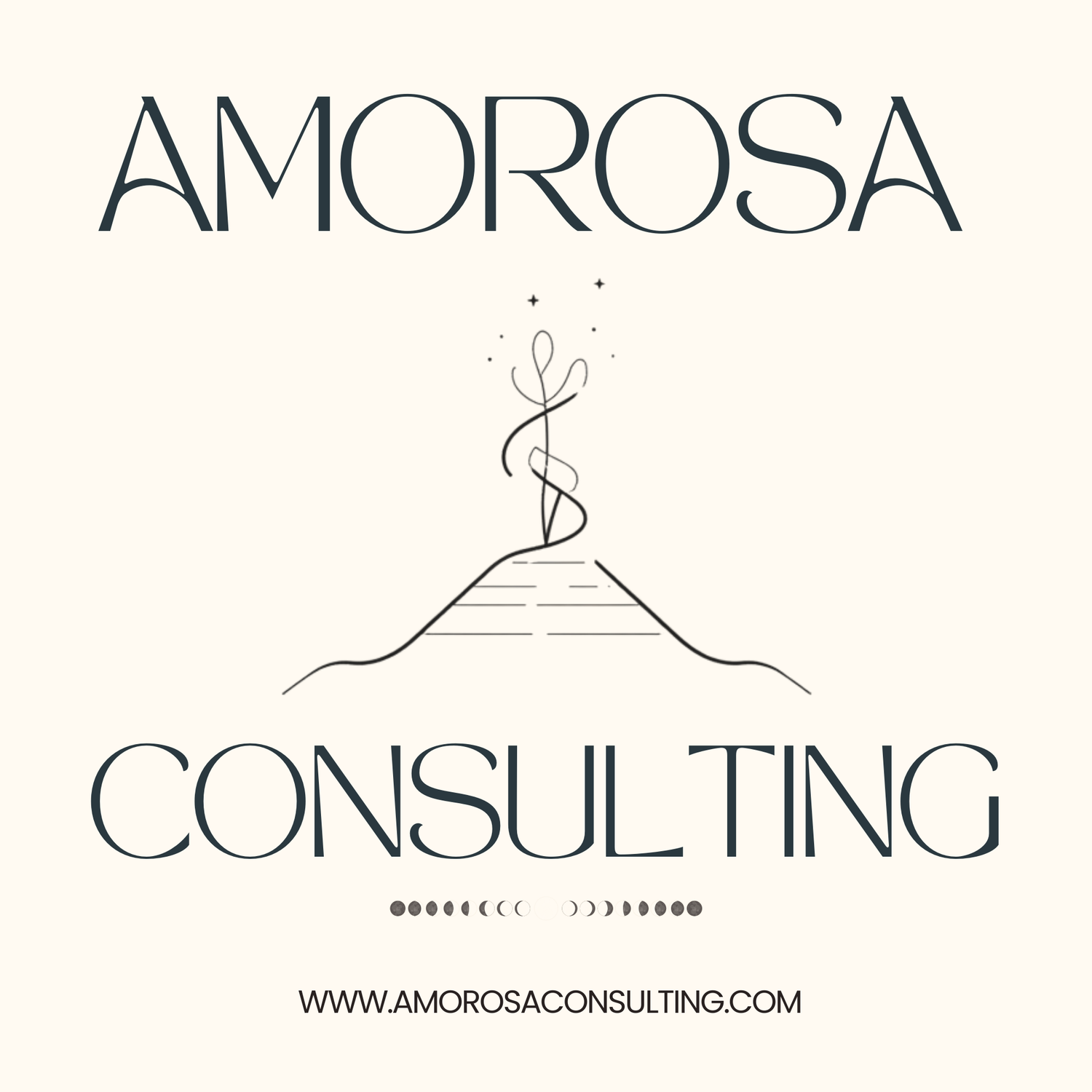Amorosa Consulting