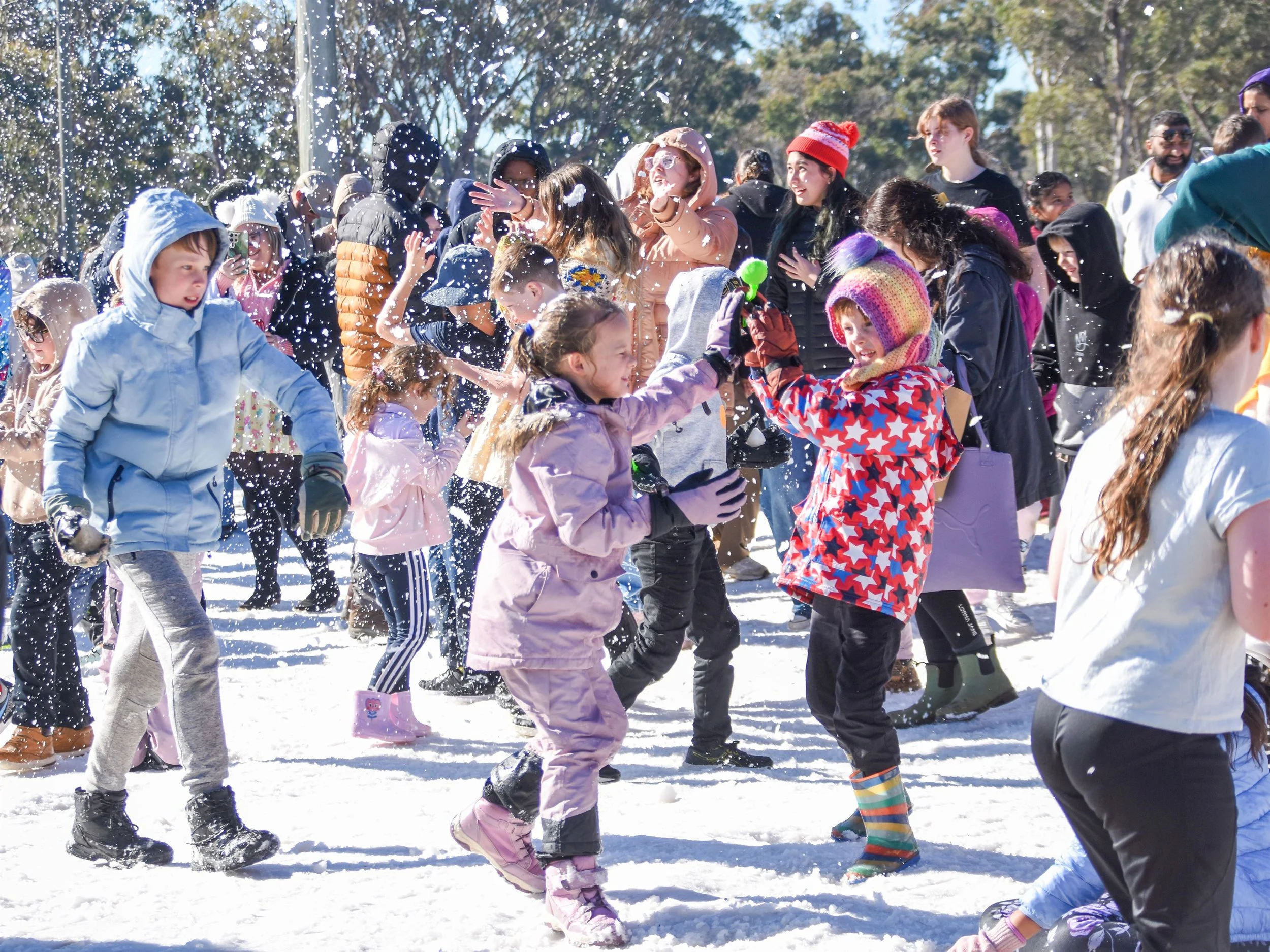 SF Snow 7.jpg