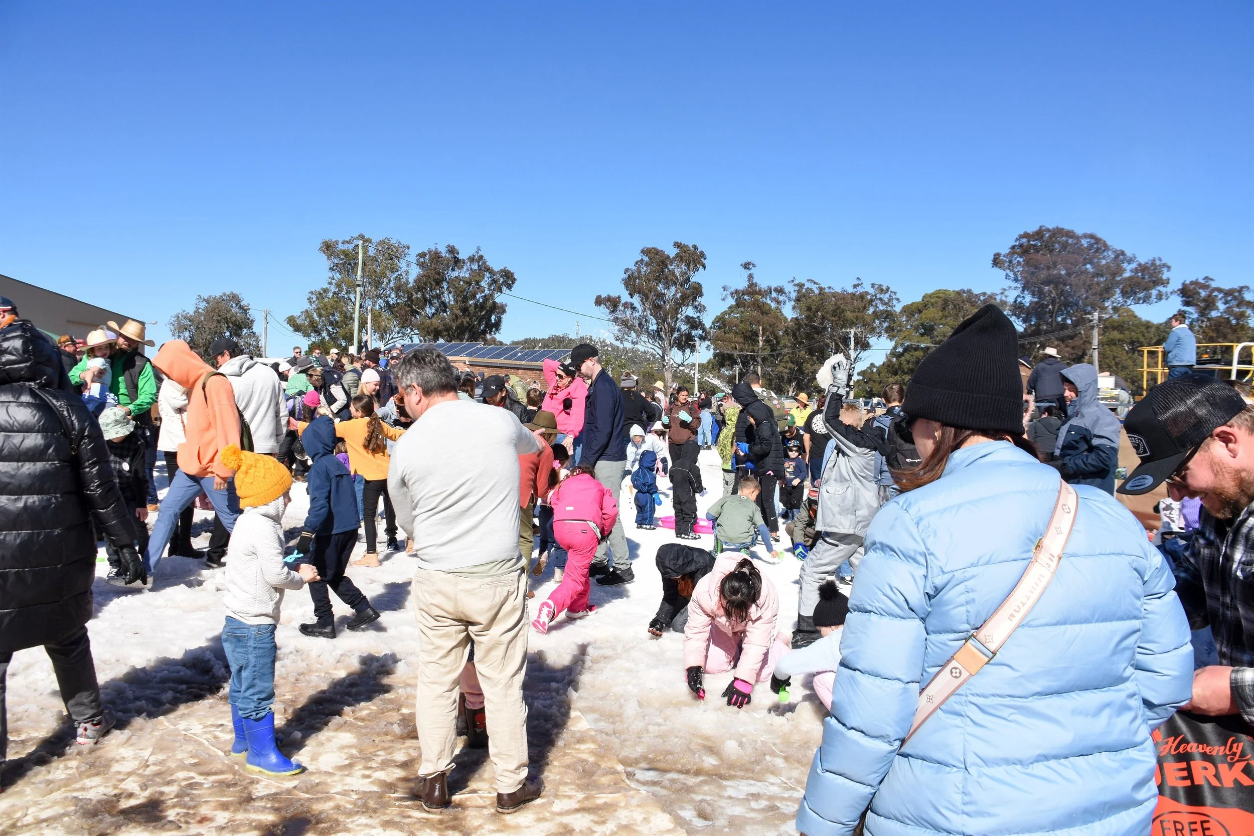 SF Snow 2.jpg