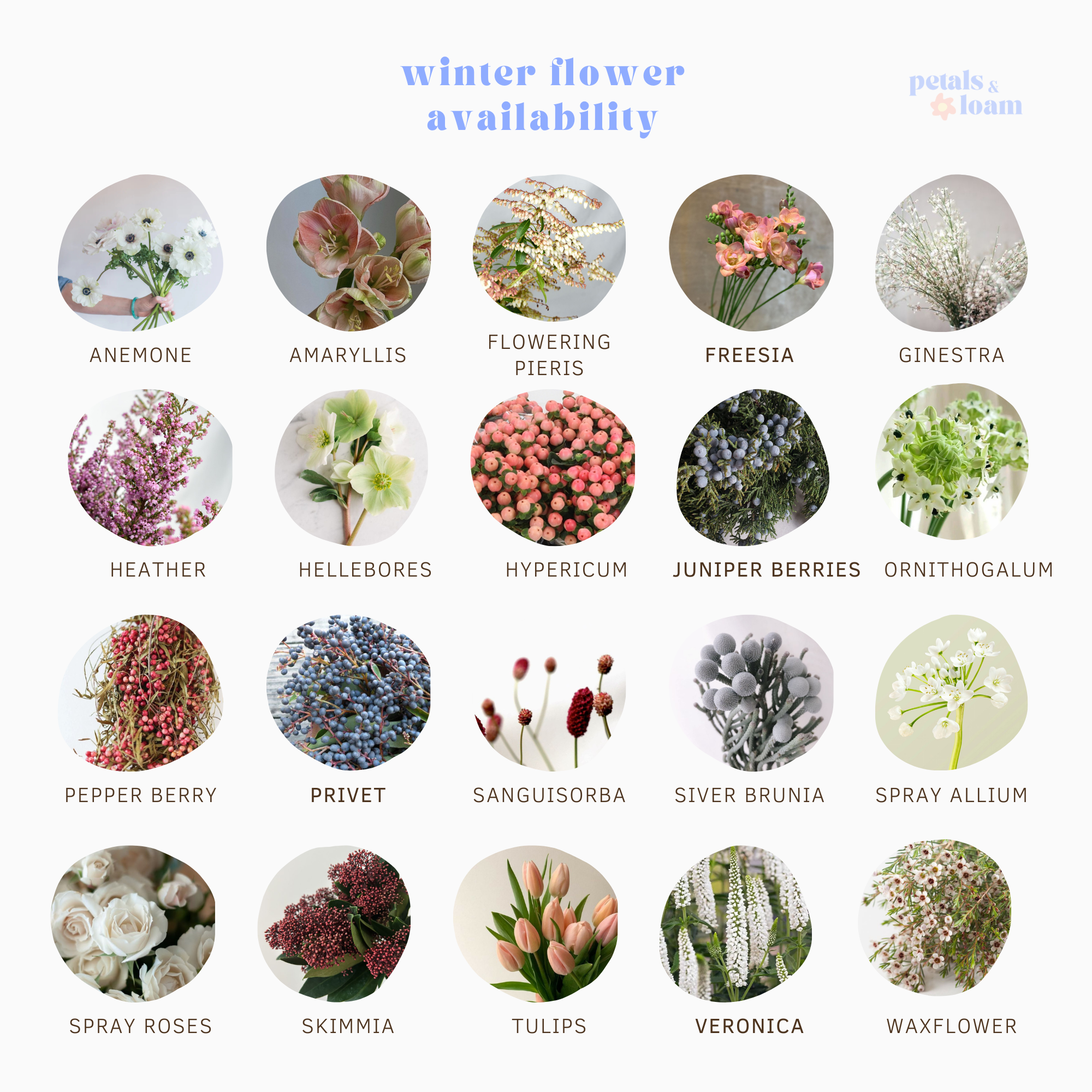 Winter wedding flower availability, Flower seasonality in winter, Petals & Loam Calgary wedding florist