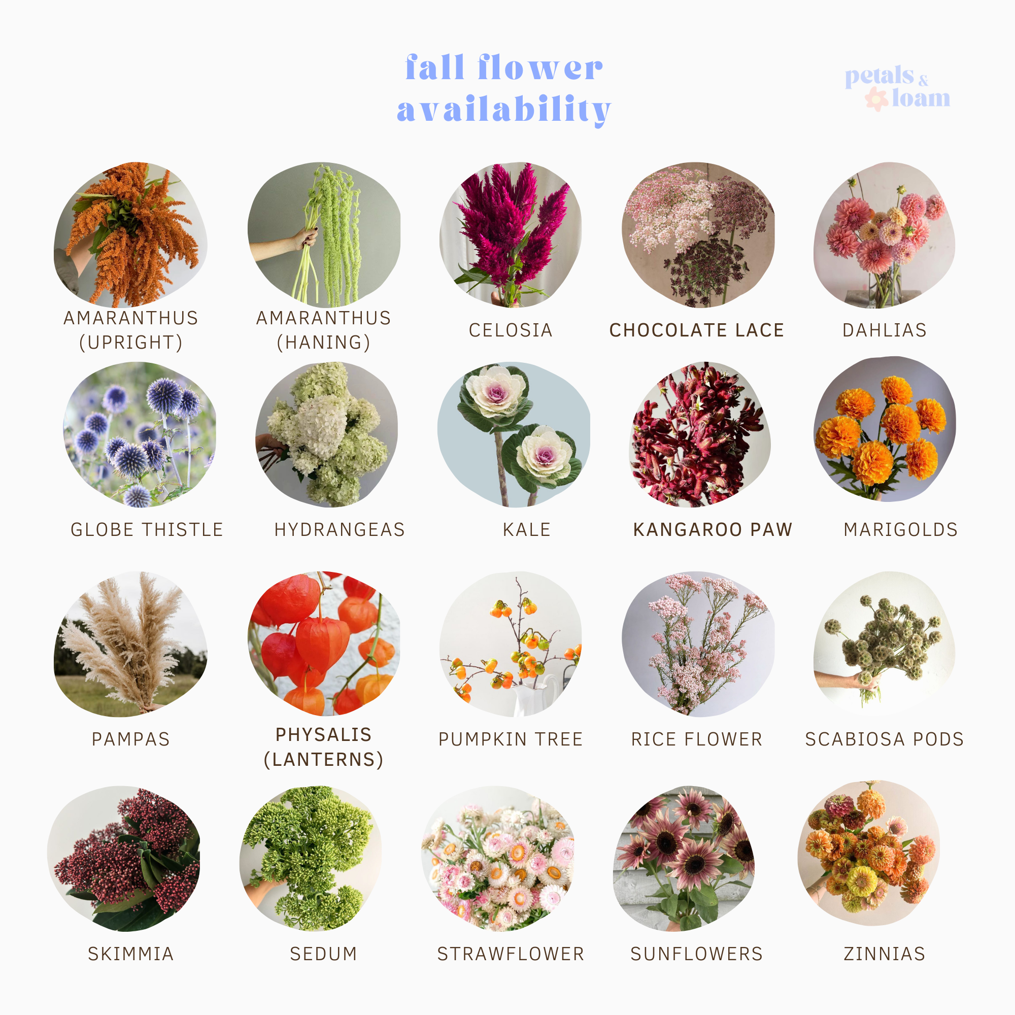 Fall wedding flower availability and seasonality Calgary wedding florist Petals & Loam