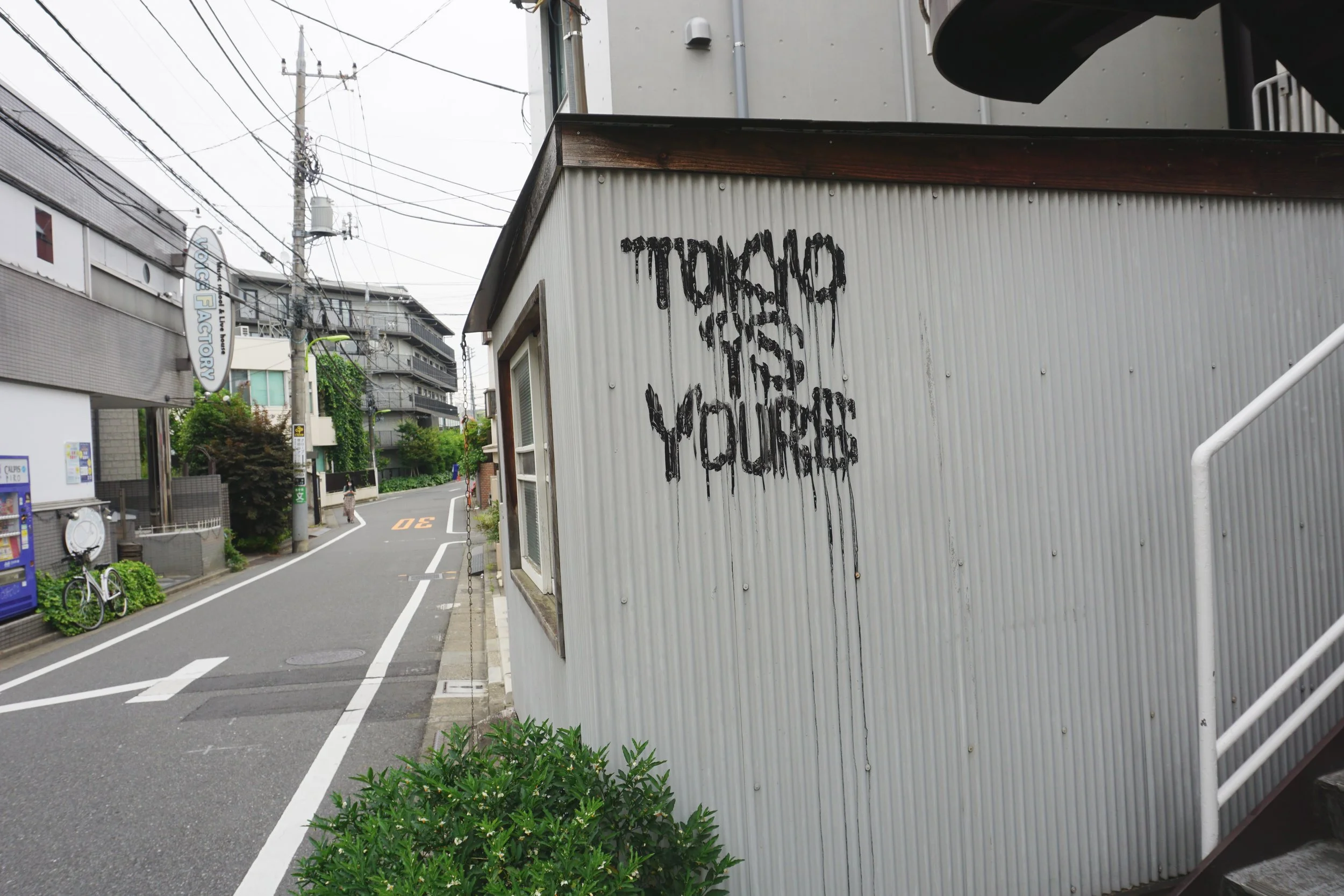 DSC00360.jpg