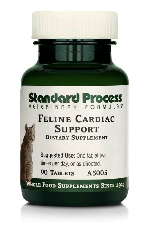 Maine Coon, Standard process, cardiac support, supplement