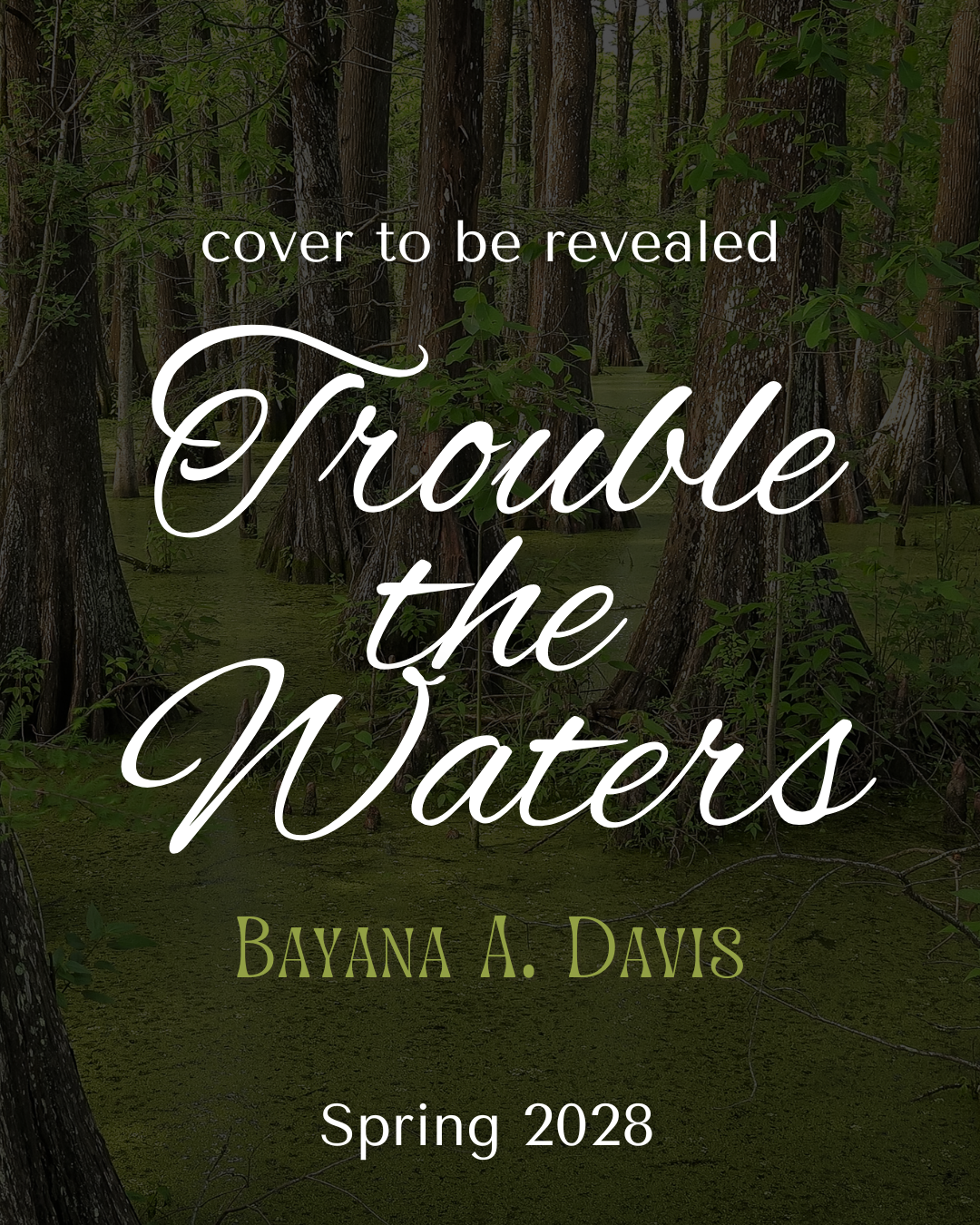 Trouble the Waters (Knopf BFYR, Spring 2028)
