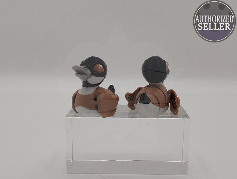 Canadian goose front.png