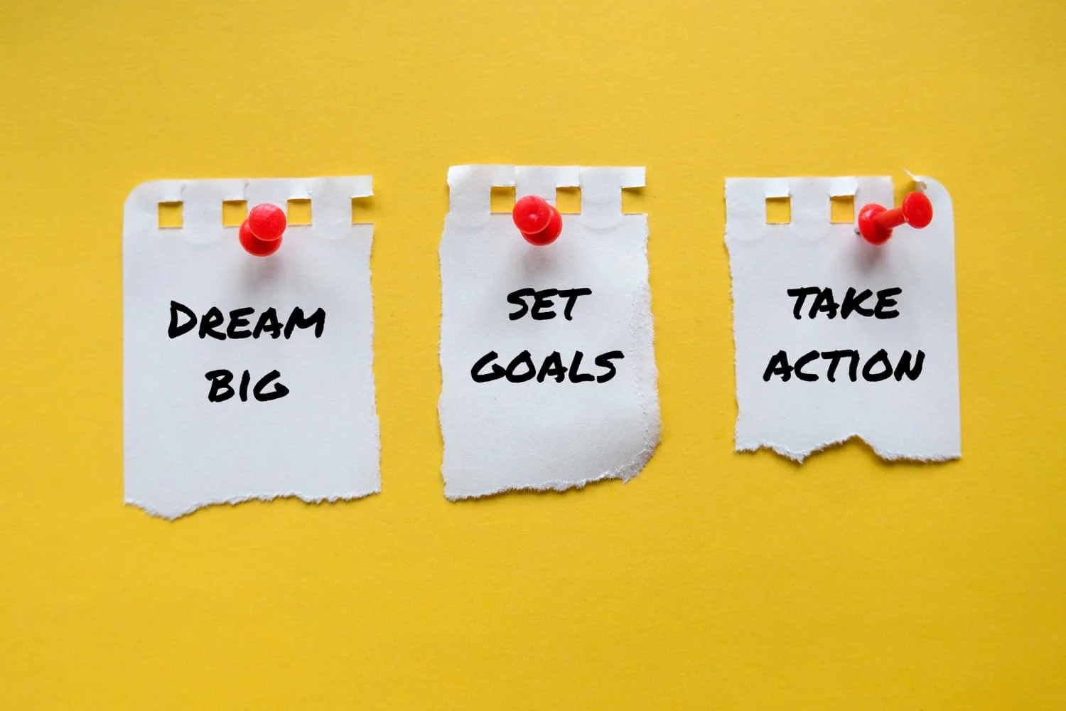 How to Stay Focused on Your Financial Goals