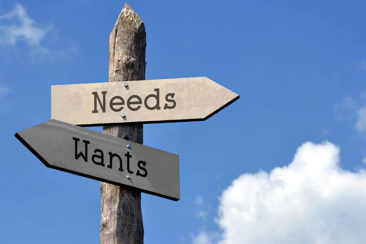 Needs vs. Wants: Making Better Spending Decisions