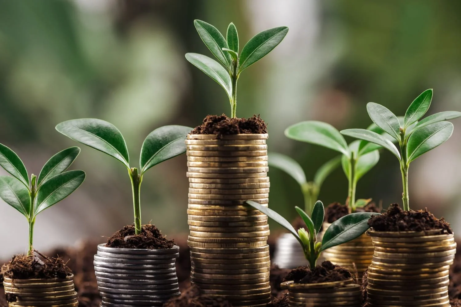 Why Financial Progress Looks Different for Everyone