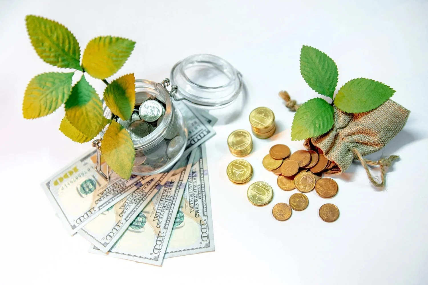 Financial Wellness vs. Financial Wealth
