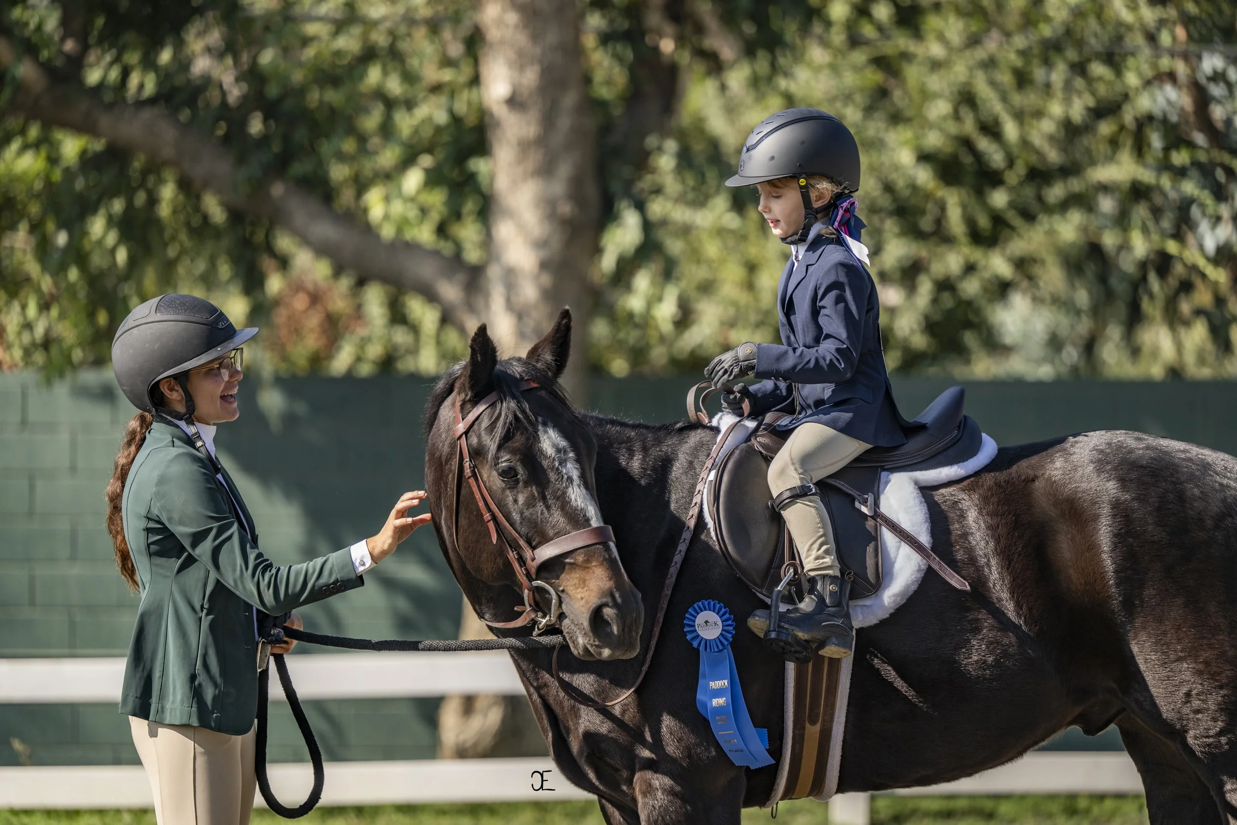 The Paddock February 