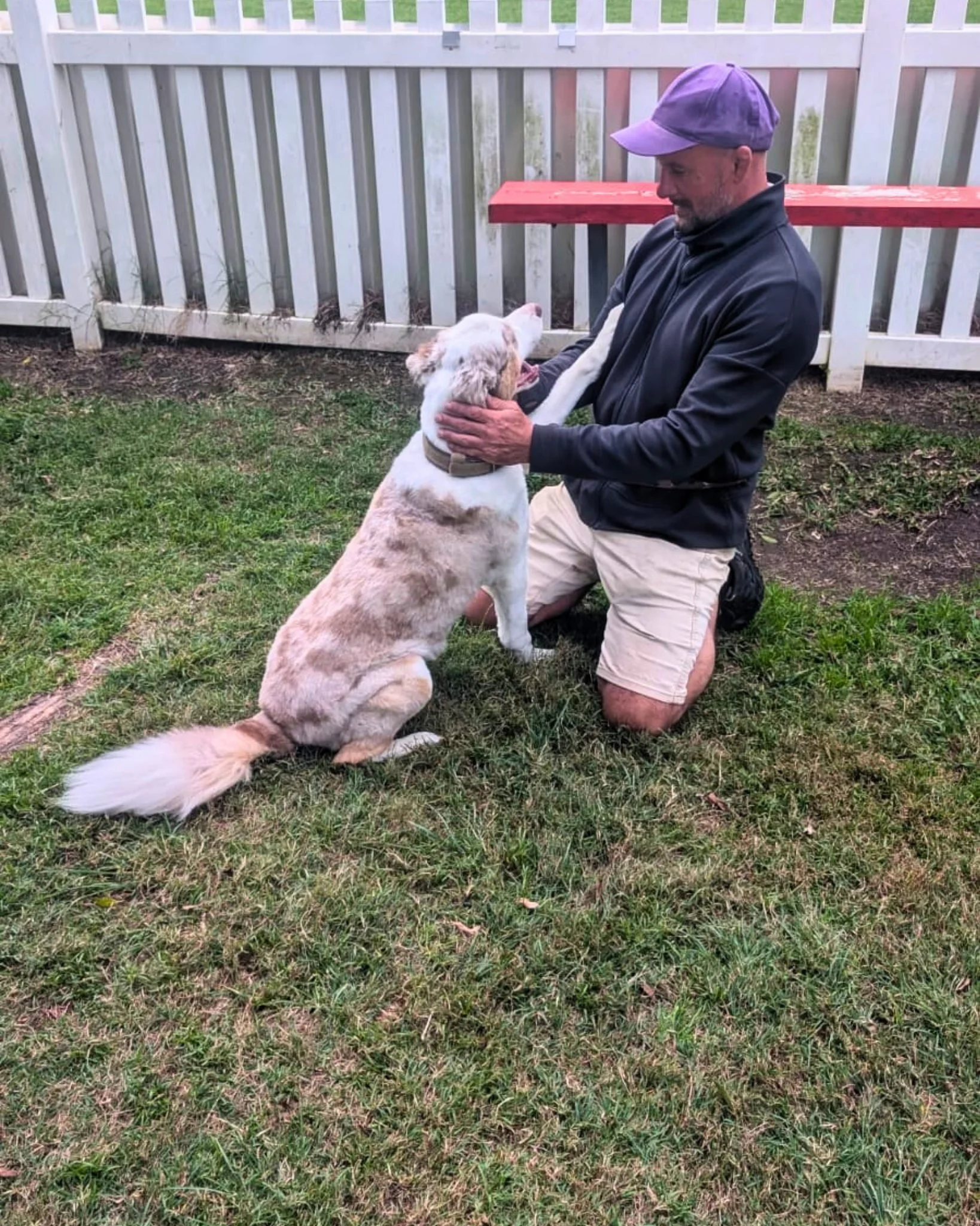 Look at the way Lenny looks at Kelly 😍🥰. He is in absolute love with his dog walker! 

When Kelly arrives to pick up Lenny each week, he can hear him squealing with excitement to go on his adventure. Lisa opens the door of her apartment 3 levels up