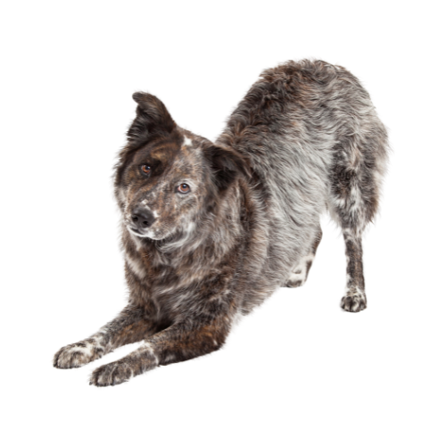 22.png
